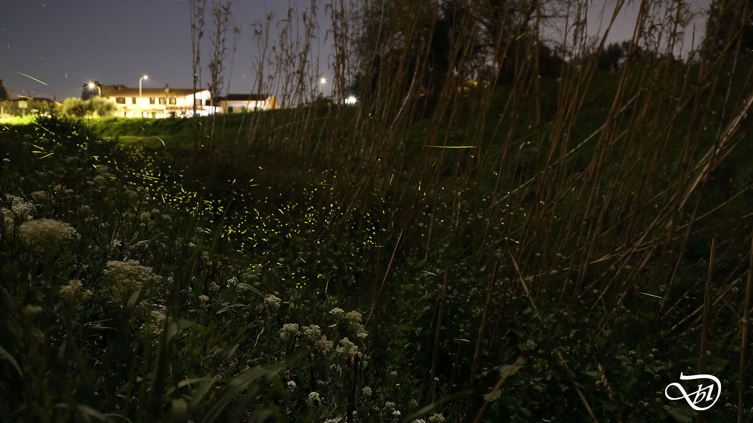 ...ad un tratto tutto luccica...