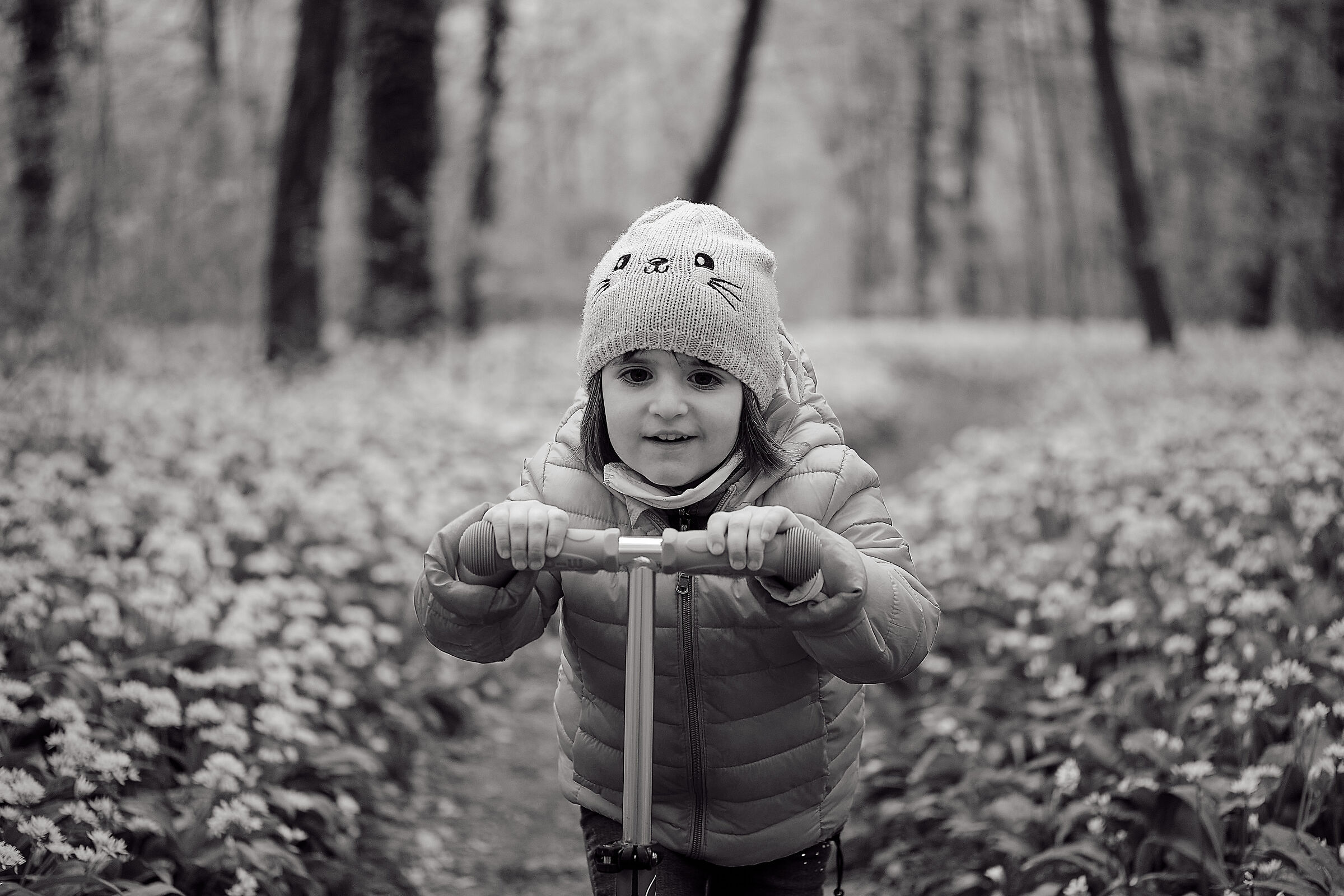 Scooter in the Woods