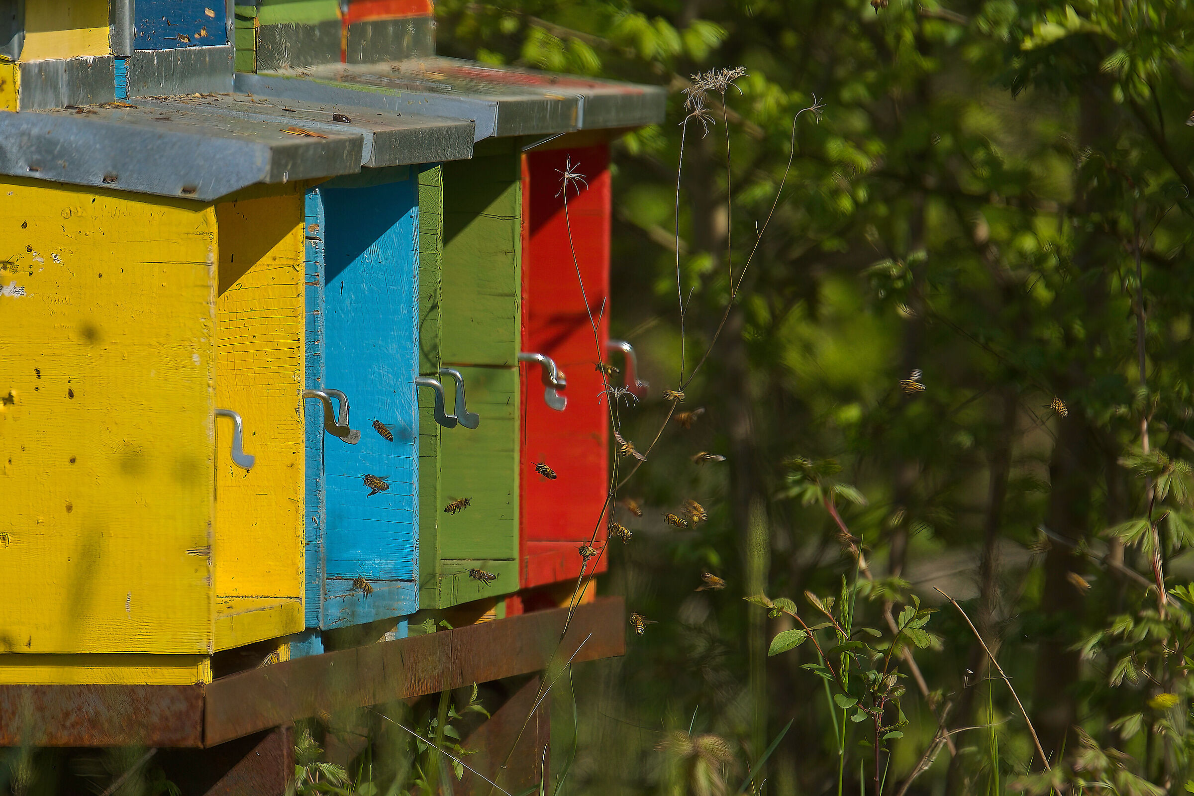 Villette a Schiera.....