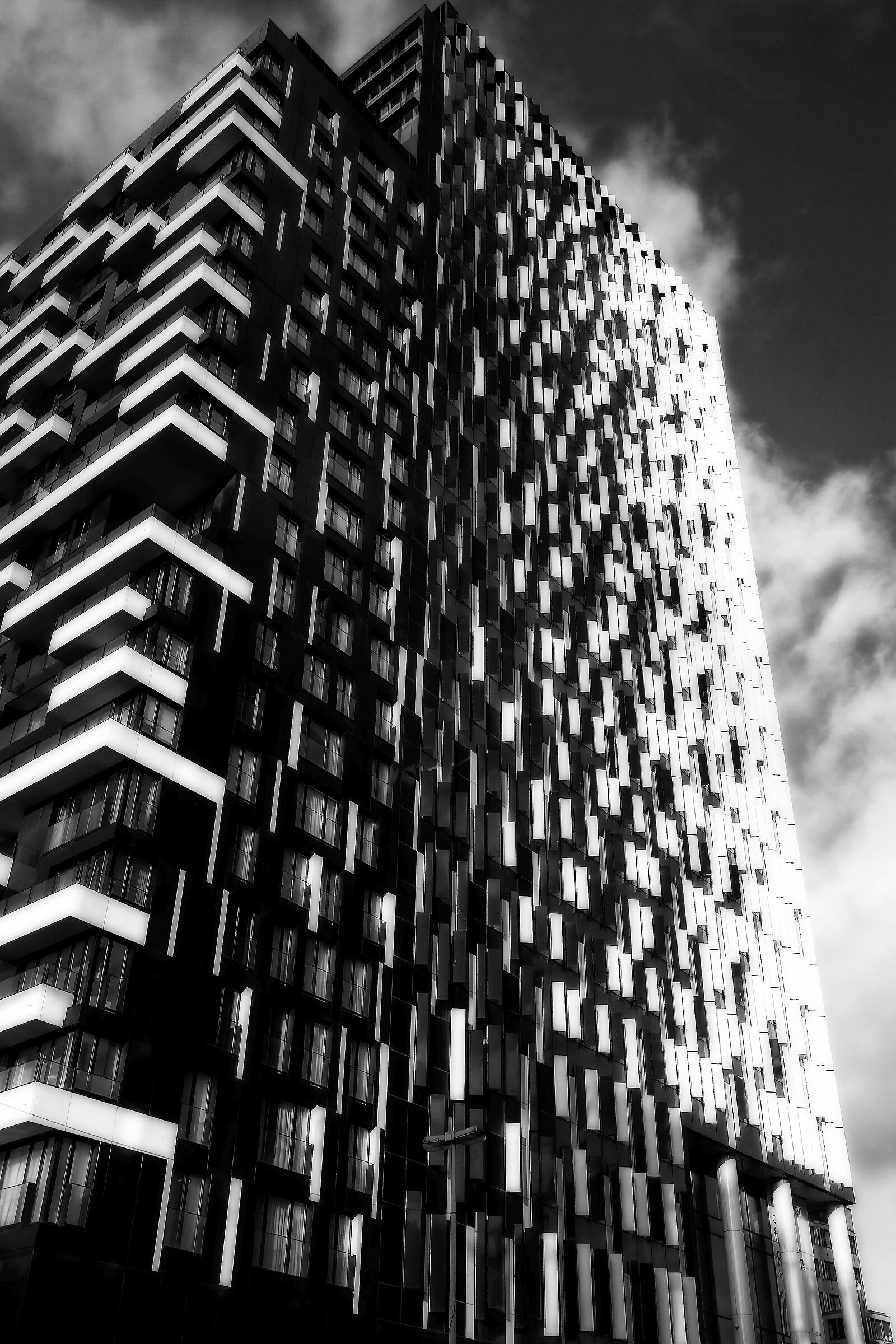 Untitled Photo