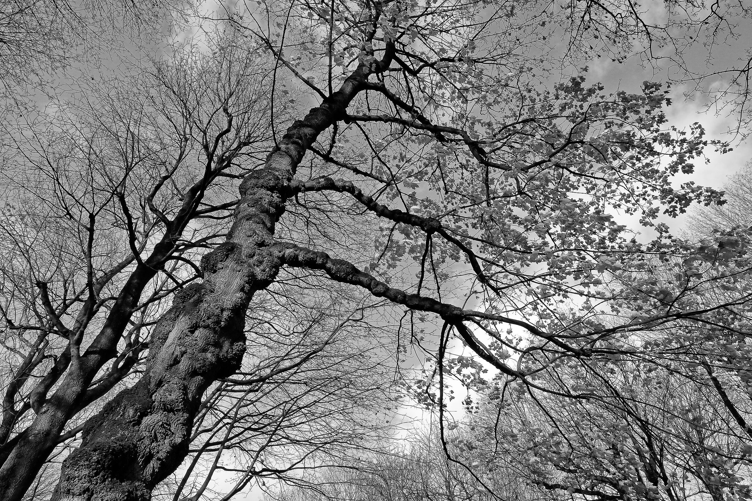 Untitled Photo