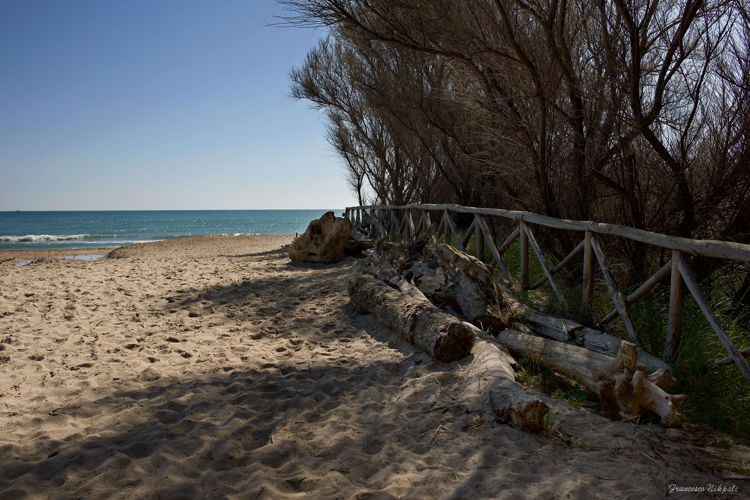 Bilge Nature Reserve