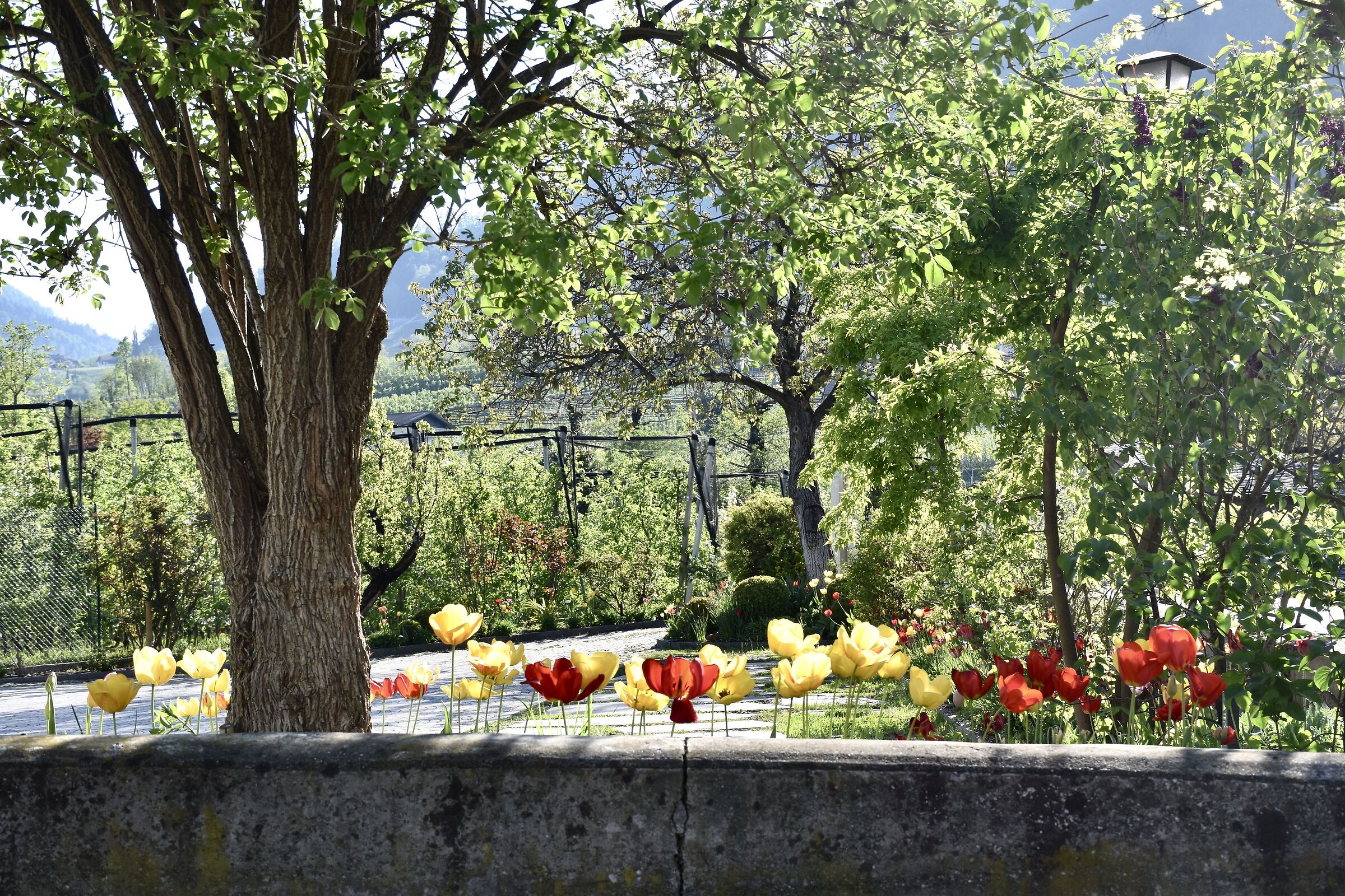 The Parcheggo del Montanaro