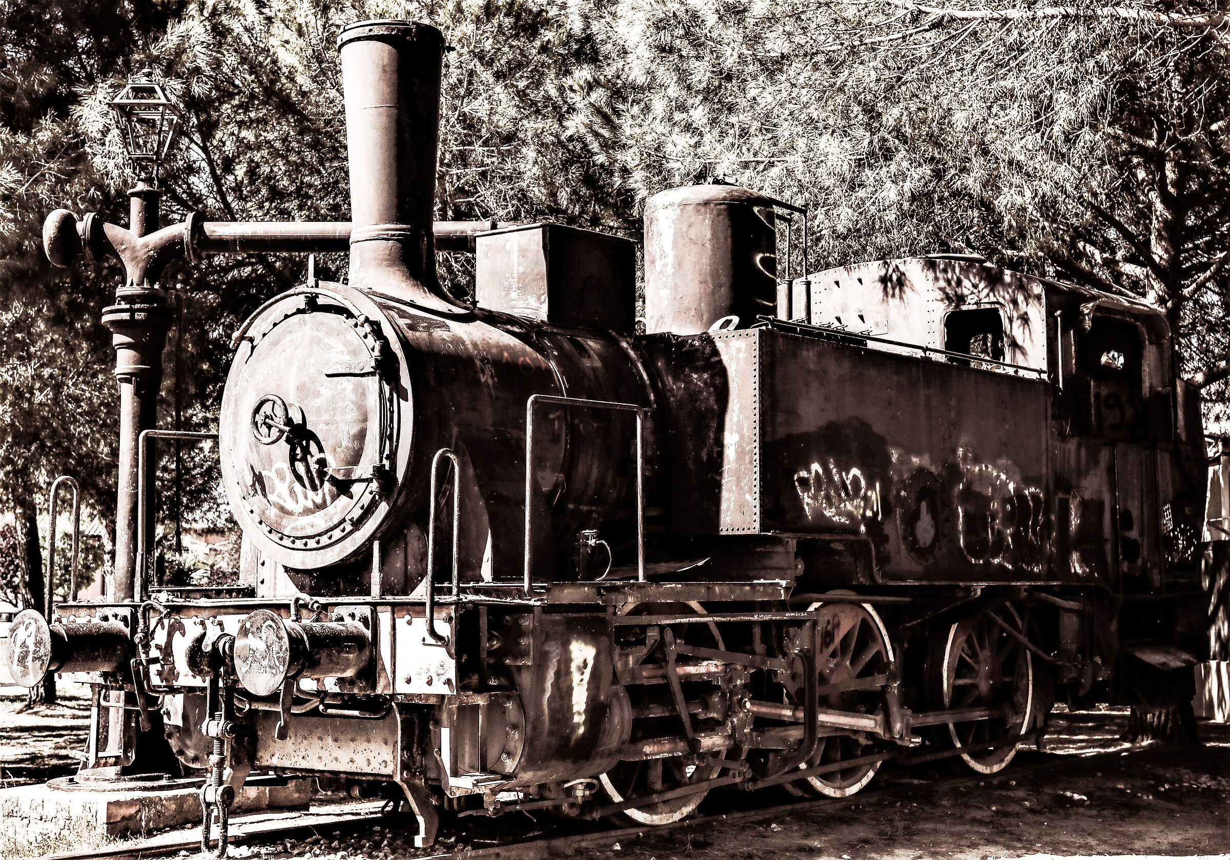 Vecchia locomotiva Venturinese