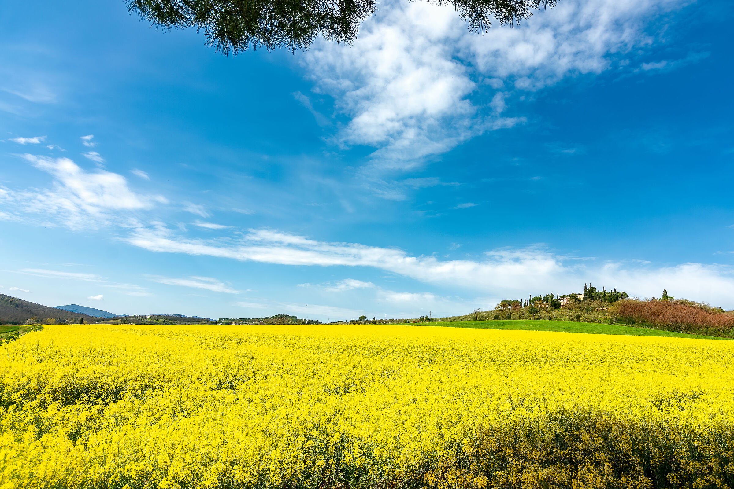 agricoltorua in umbria