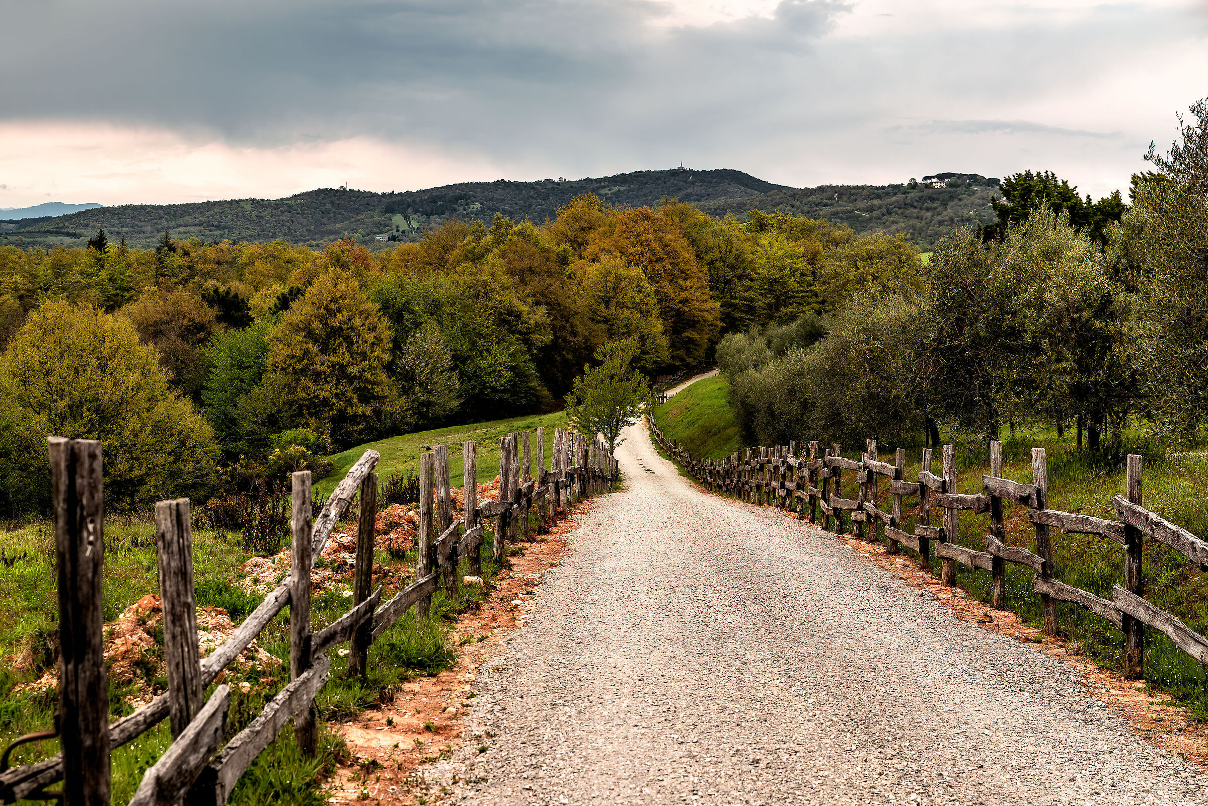 primavea che sembra autunno citta' della pieve dintorn