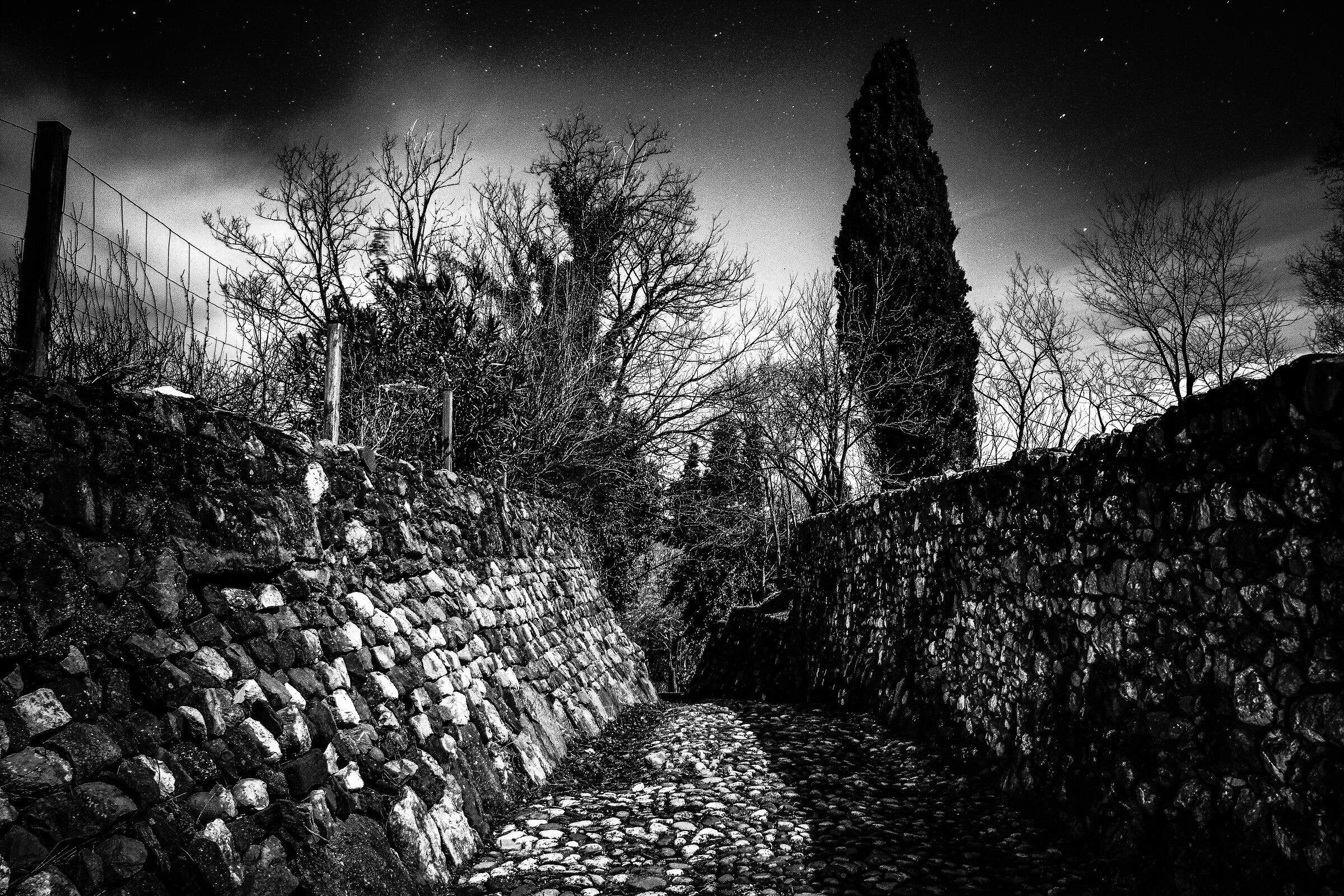 Path through the ancient walls
