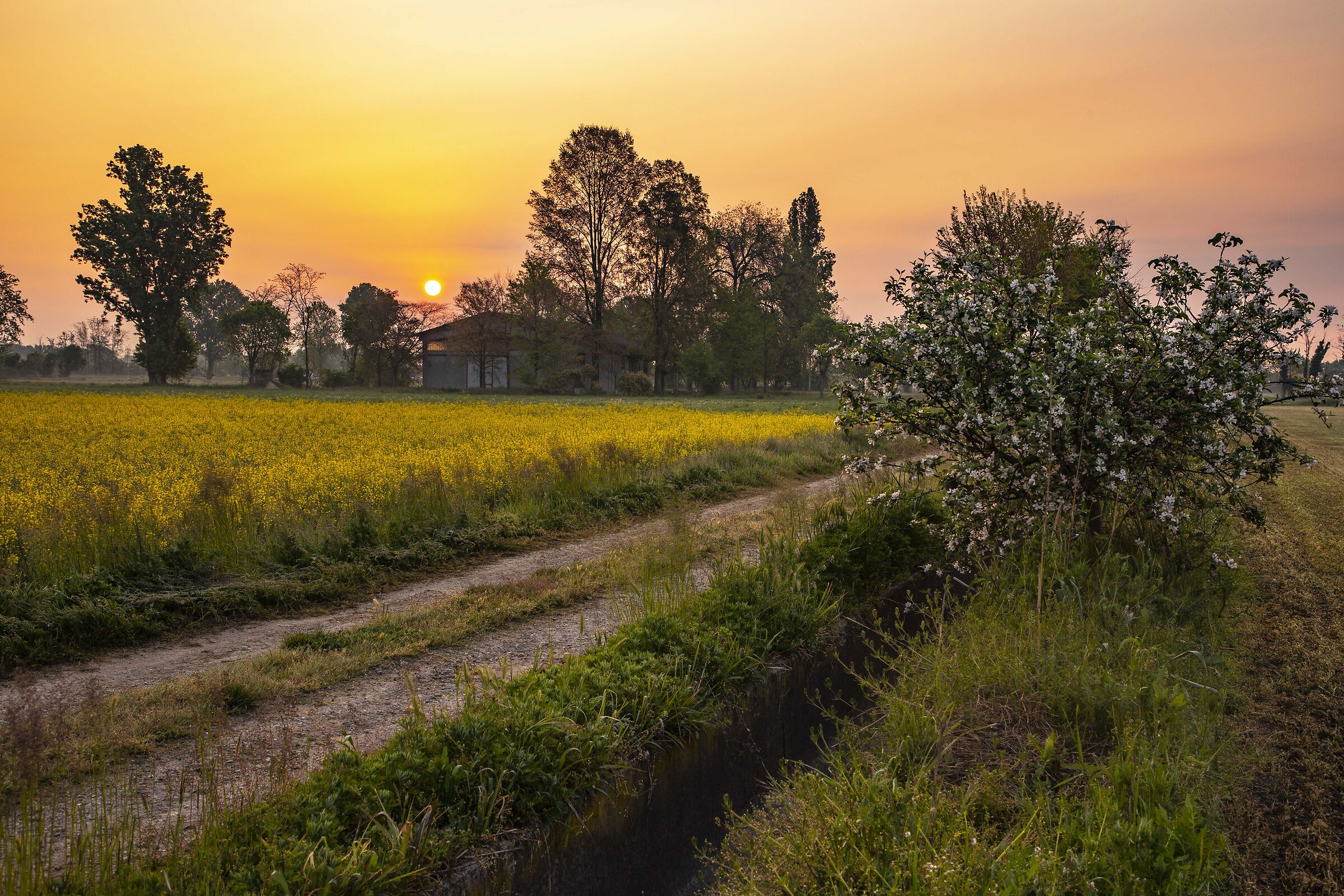 Nuovo giorno in campagna