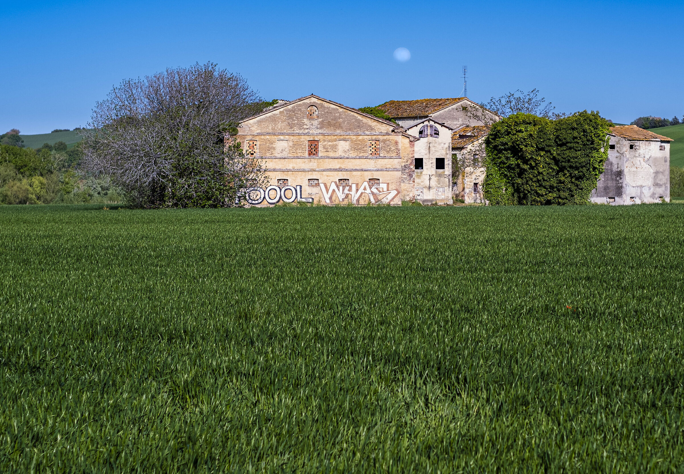 Casole nella campagna Jesina