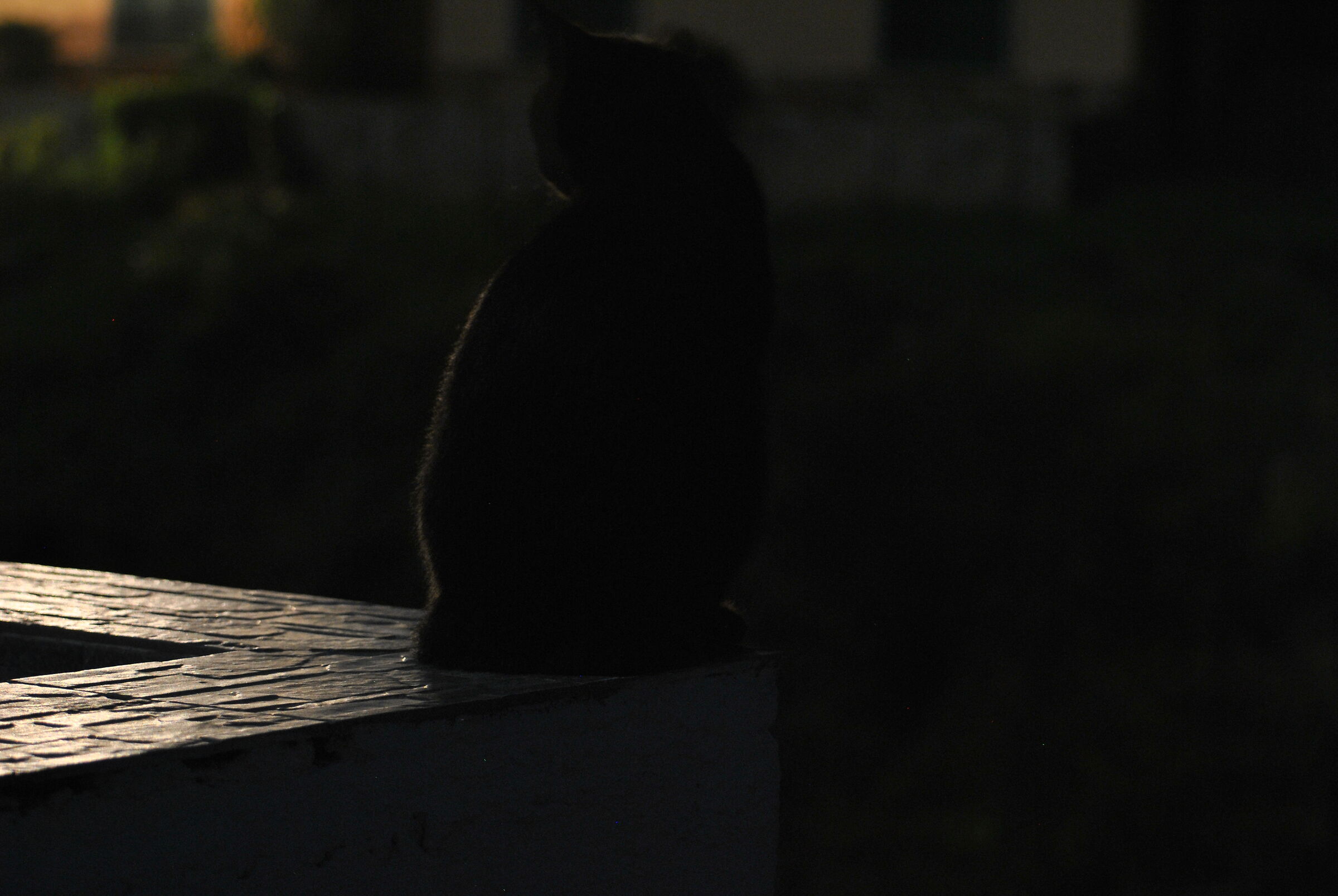 Gargoyle Strello