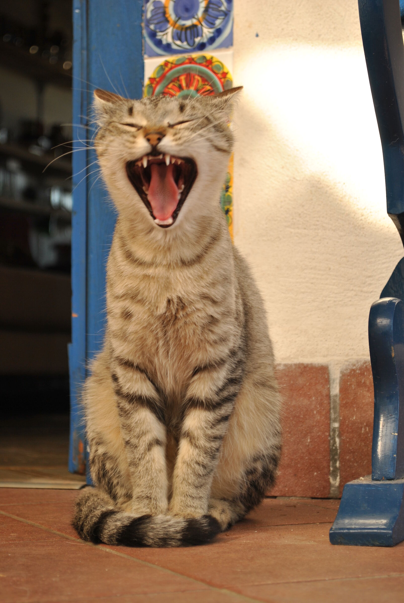 Milla annoiata