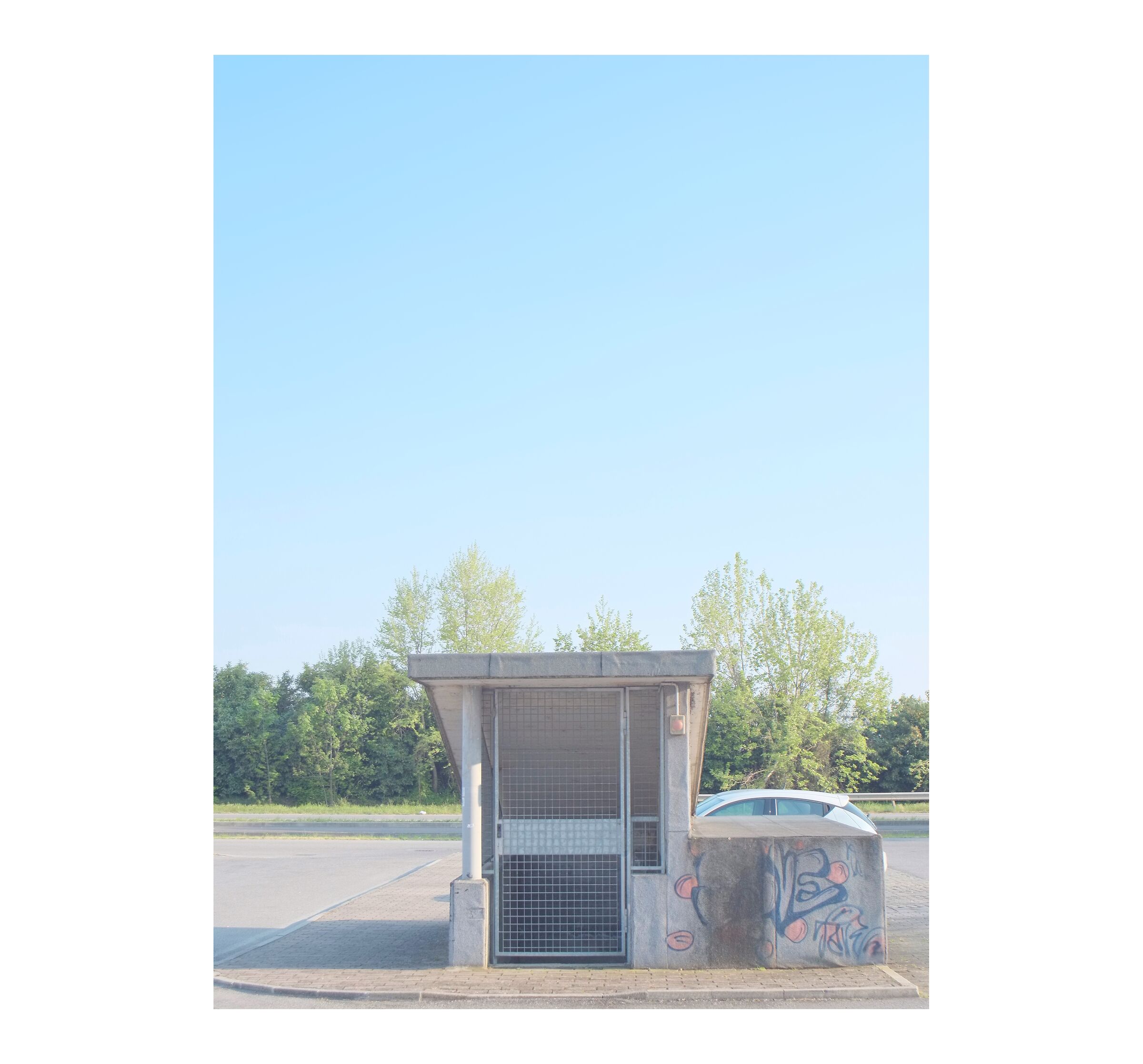 Untitled Photo