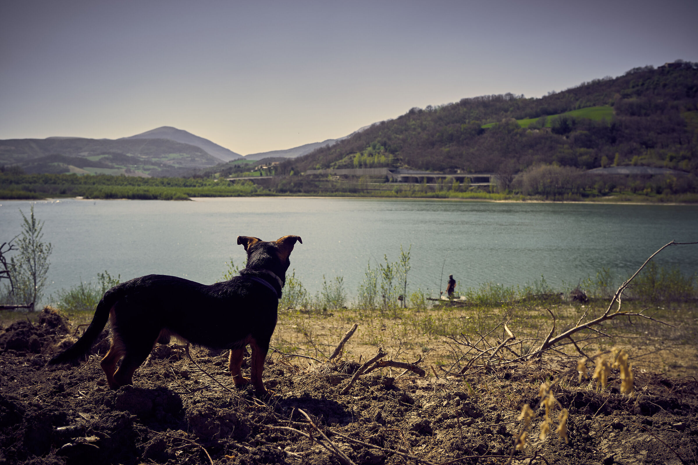 Of dogs, lakes and fishermans