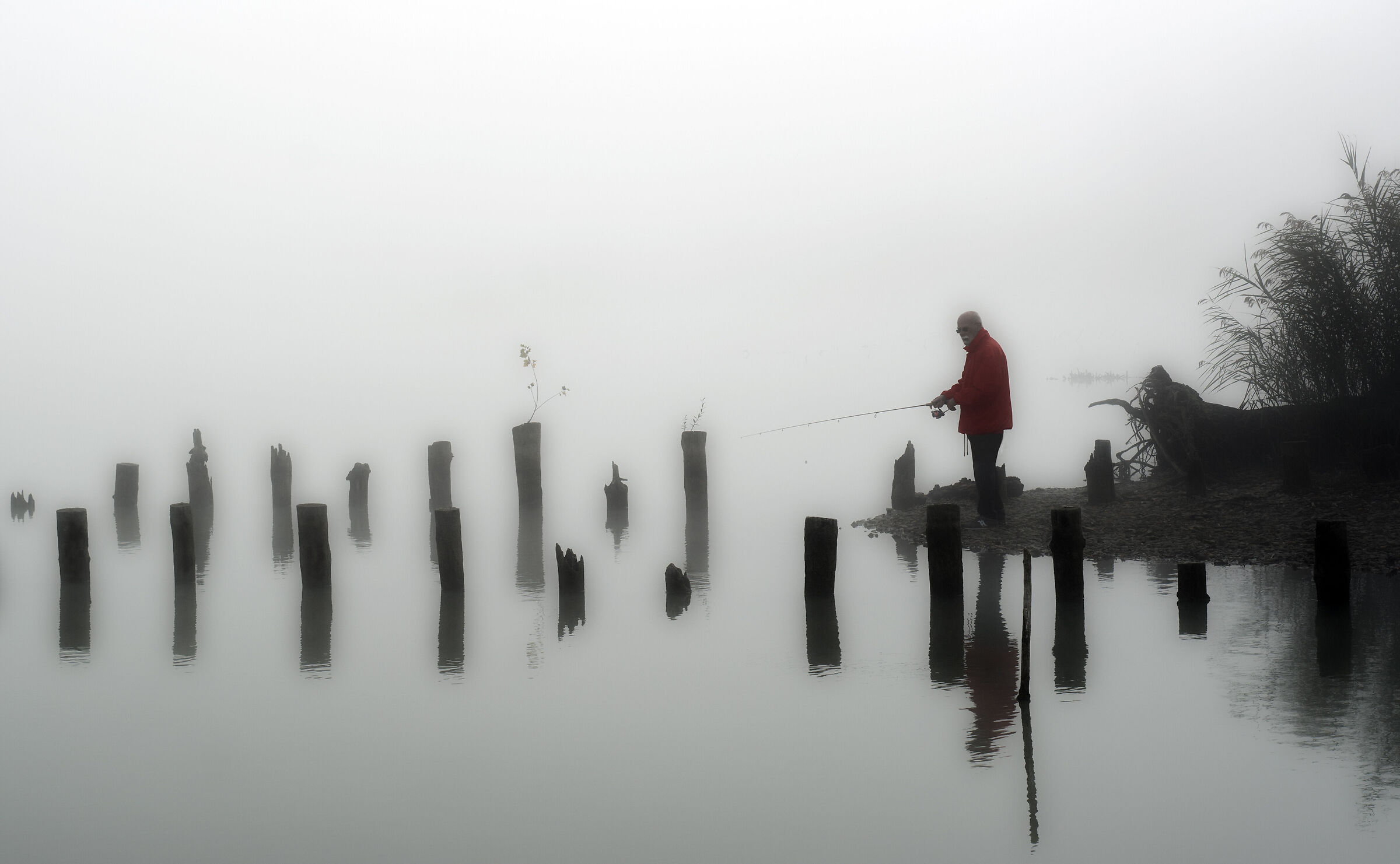 Chi dorme non piglia pesci