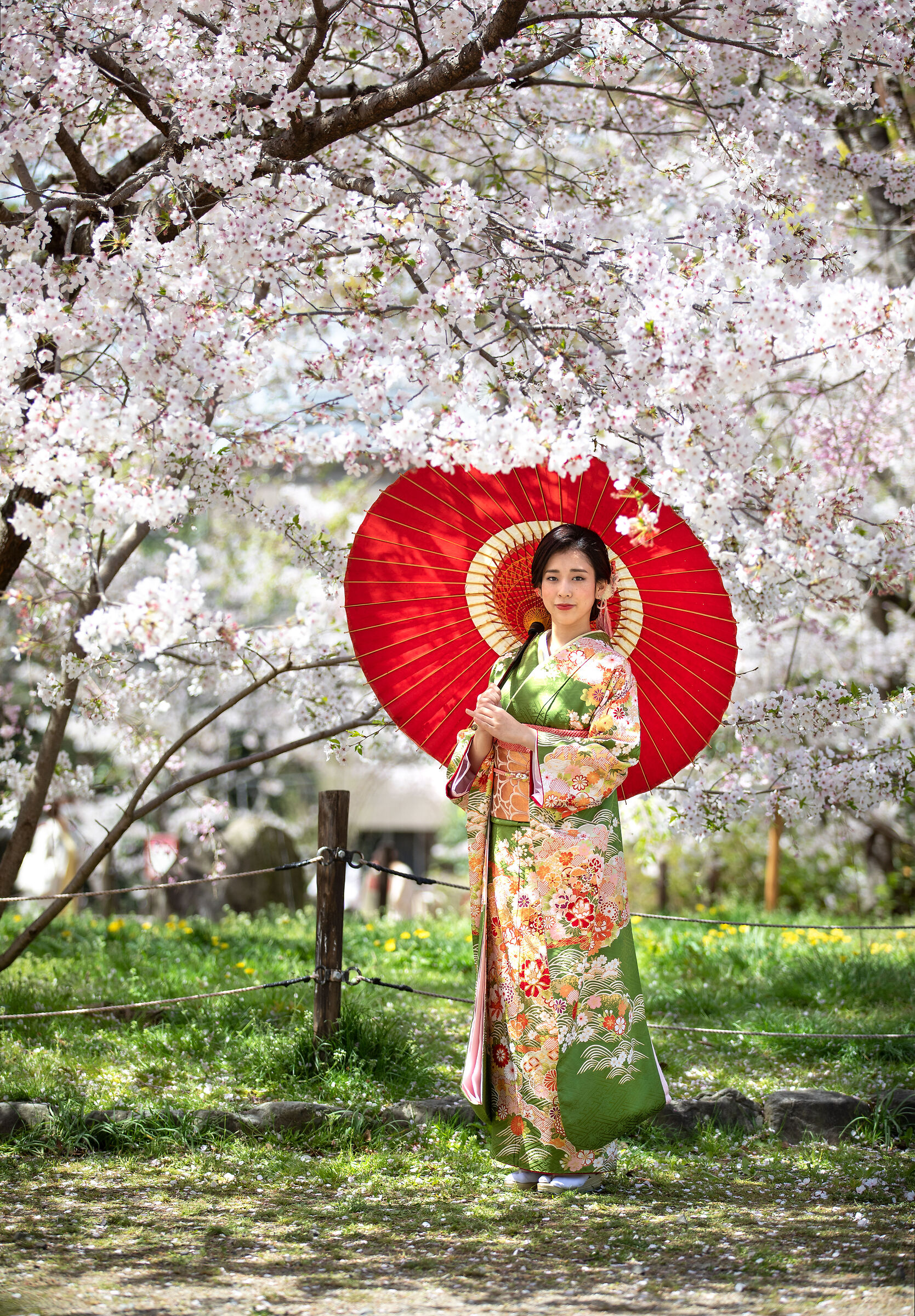 Ragazza giapponese in Kimono