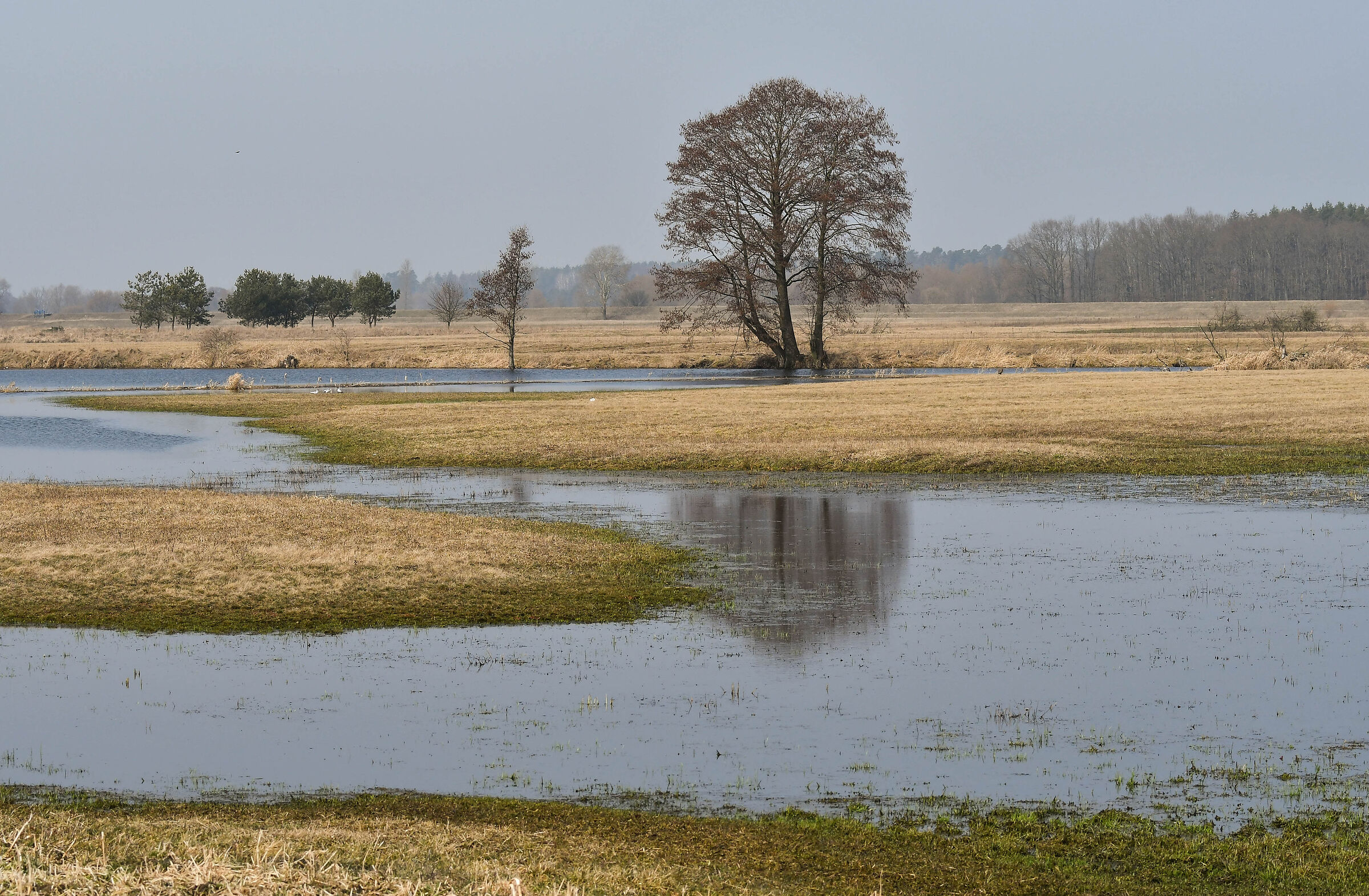 La valle del fiume Bug 21