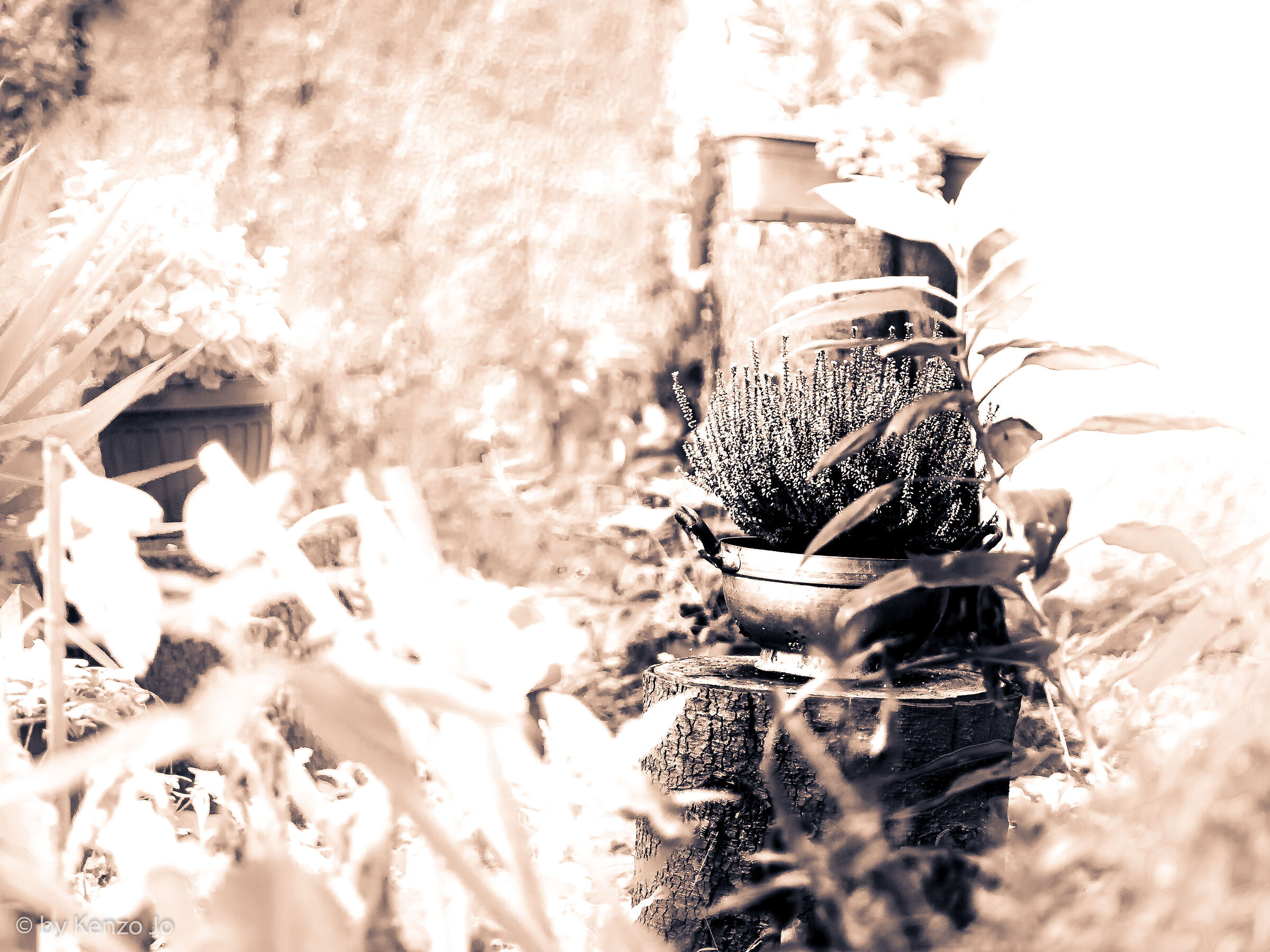 Forbidden Colors: Spring 2021