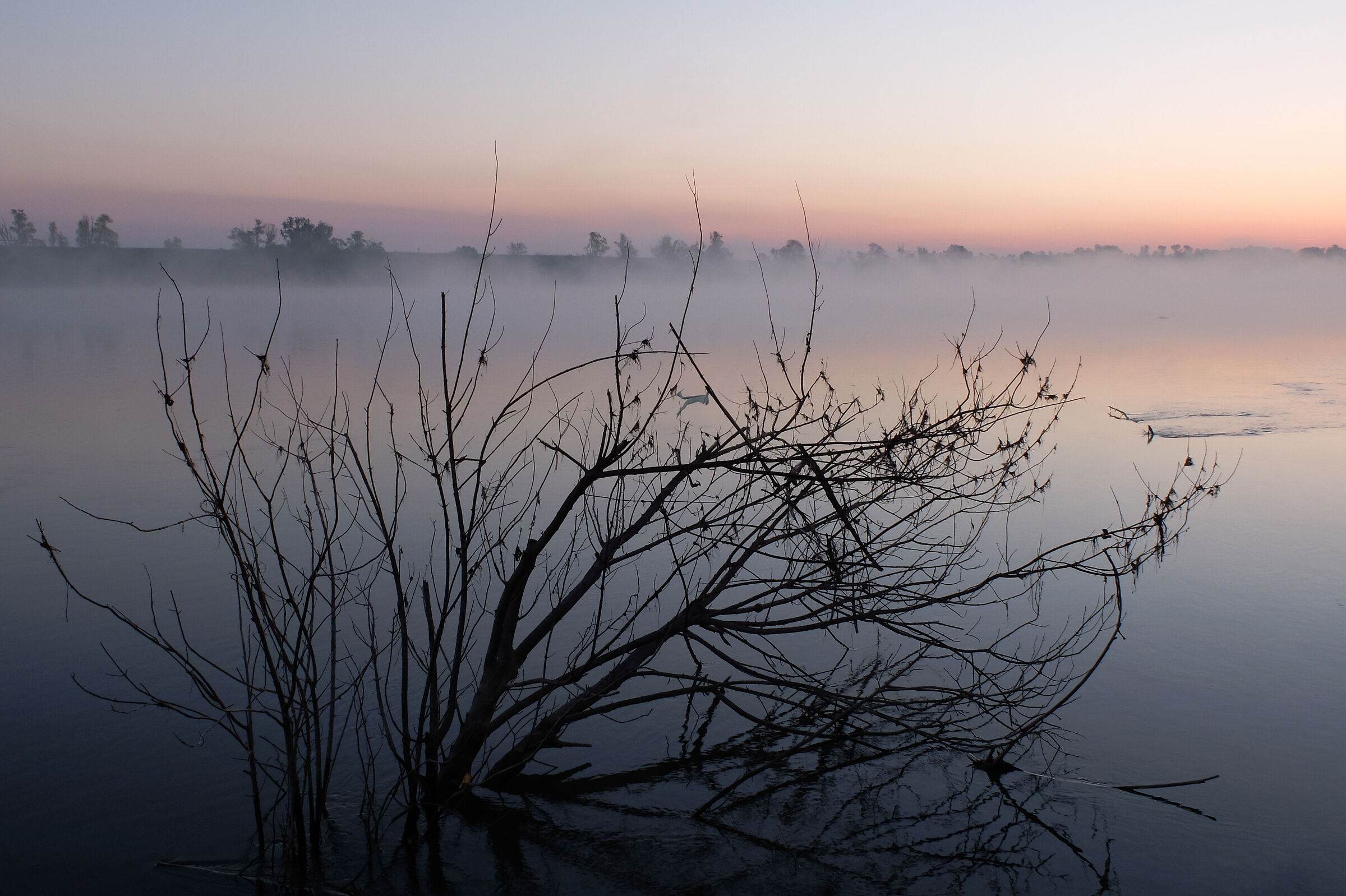 Quell'altro ramo sul fiume Po