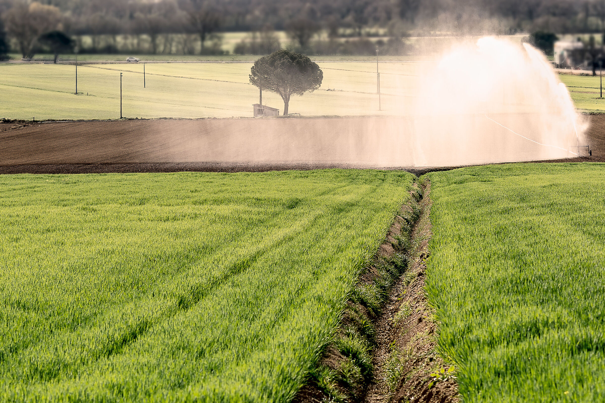 agricoltorua in umbria