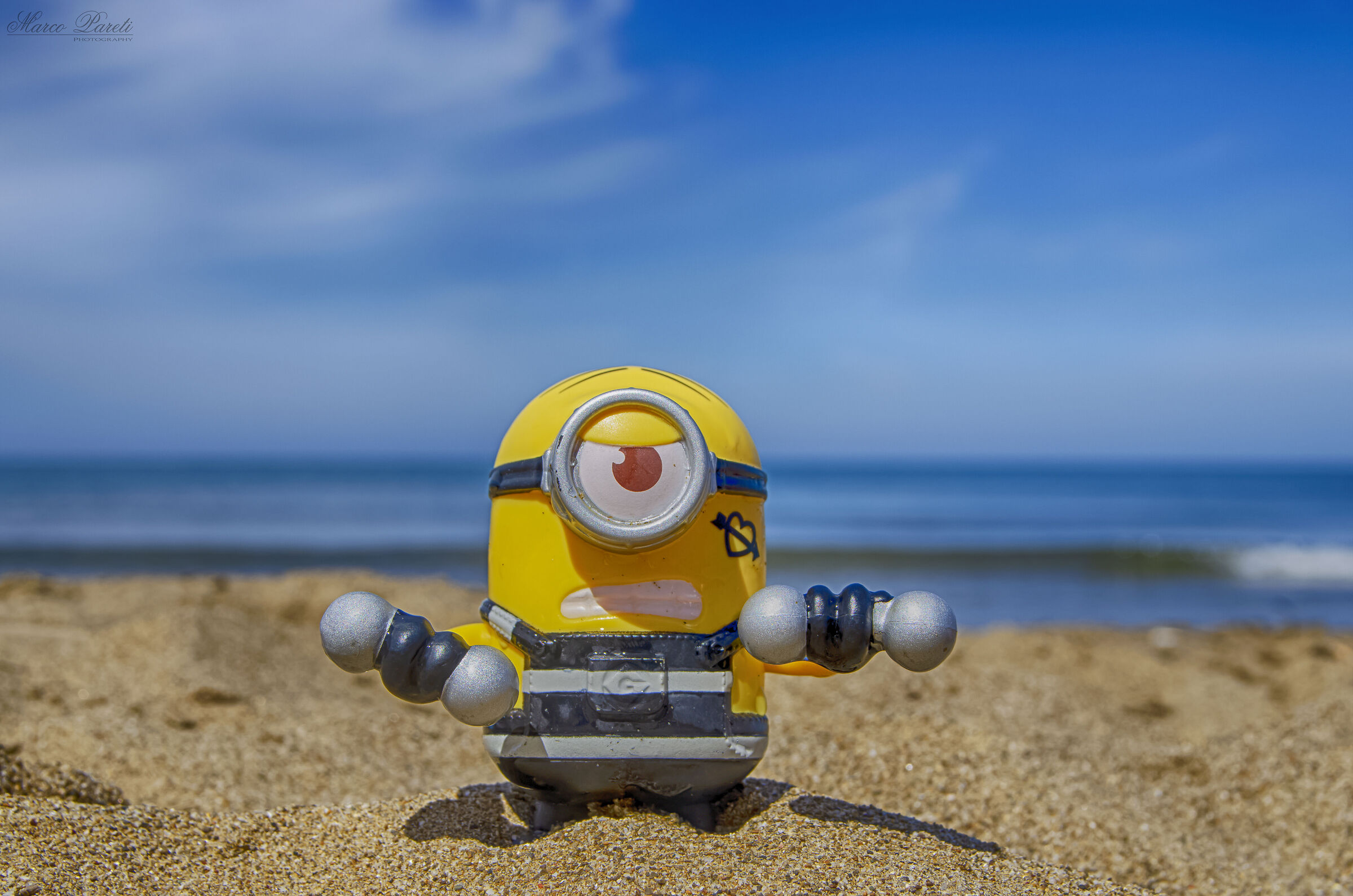 For the costume rehearsal ...