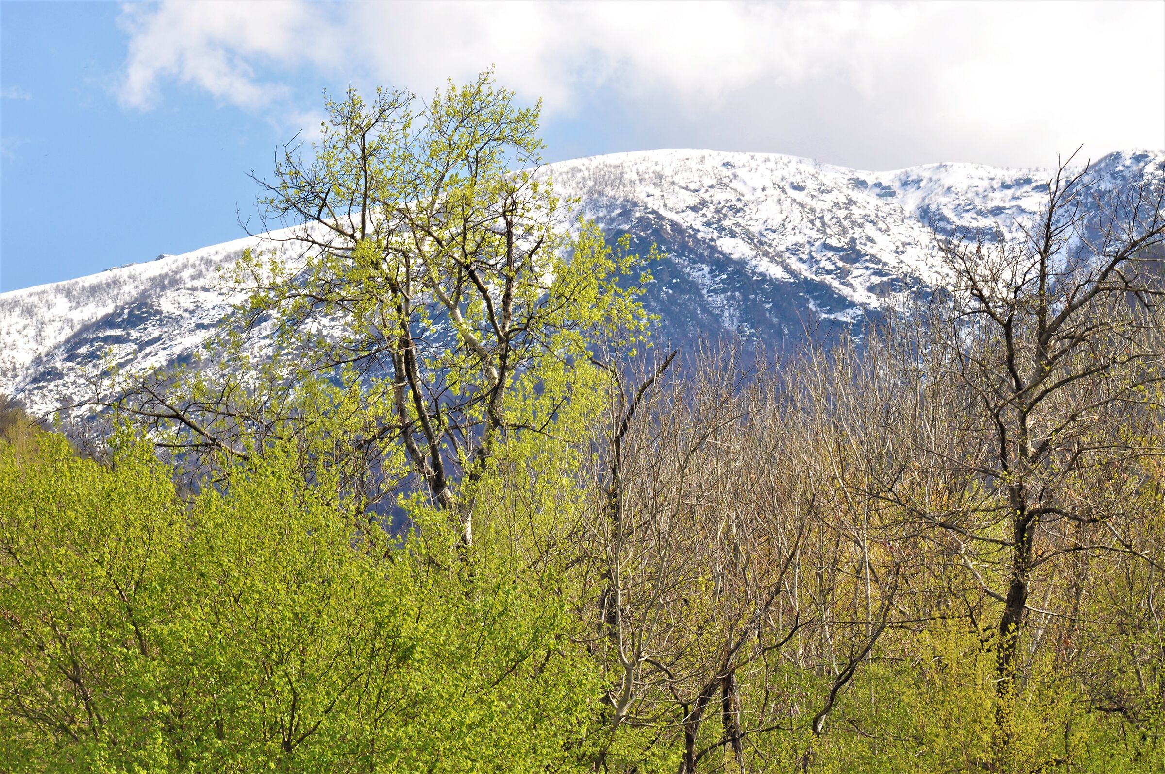April snow