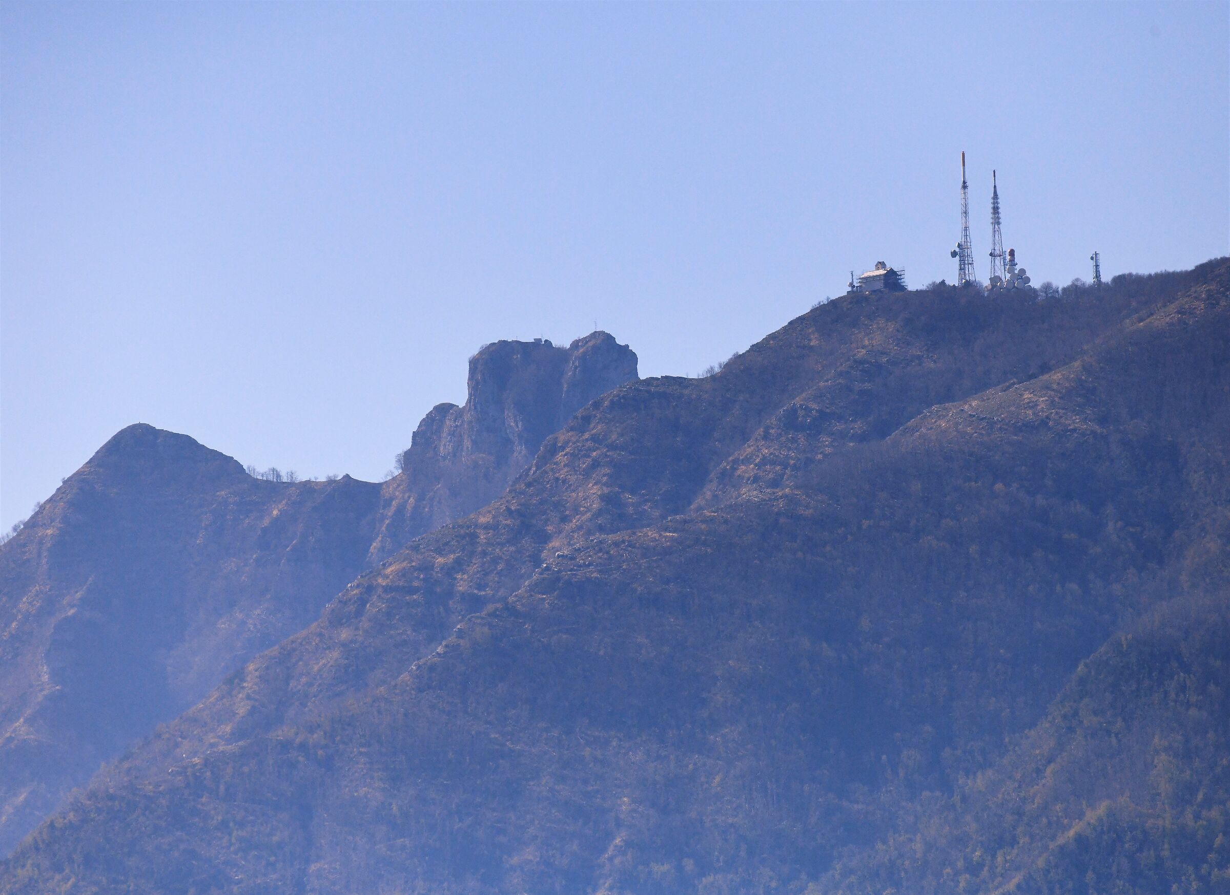 The canine, the molar and the church of San Michele
