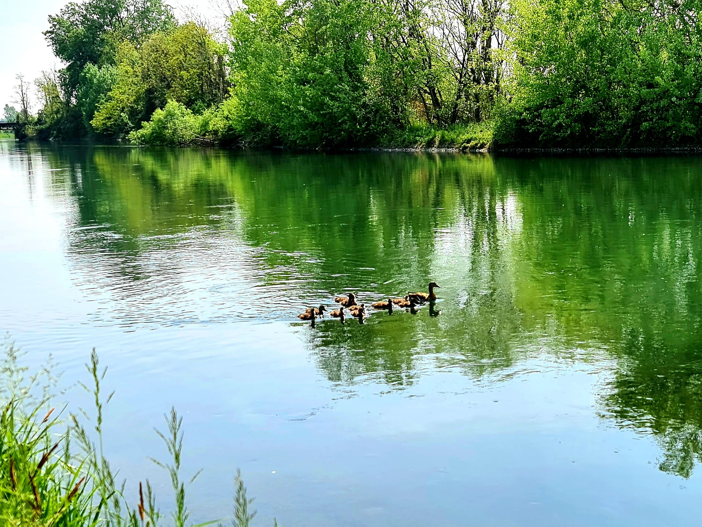 Passeggiata sulla Muzza 2021