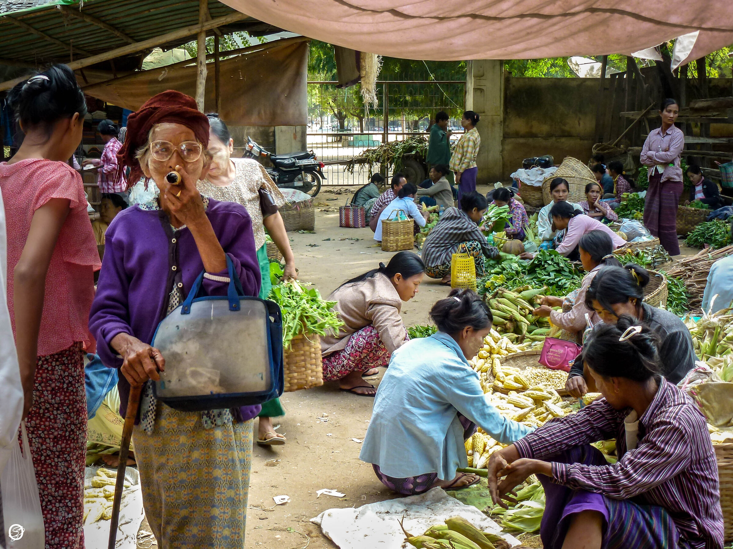 La signora col cannone