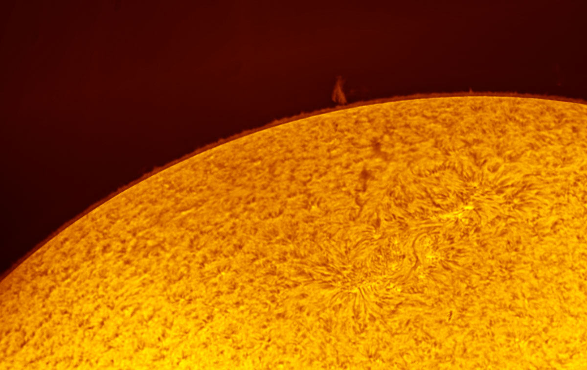 il sole  del 25 04 2021