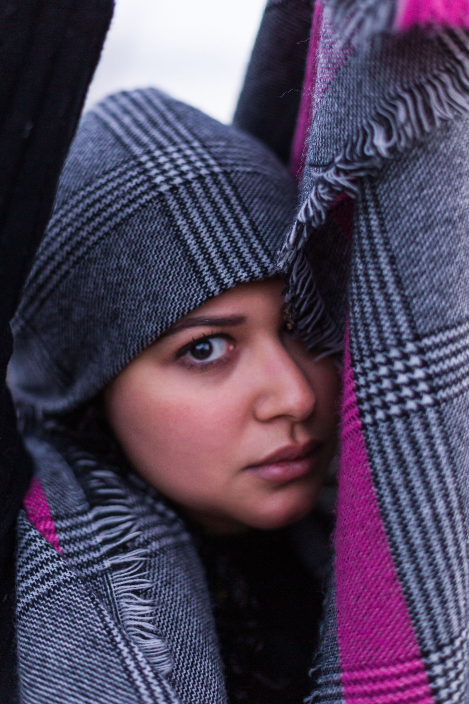 Sand Storm, New Year