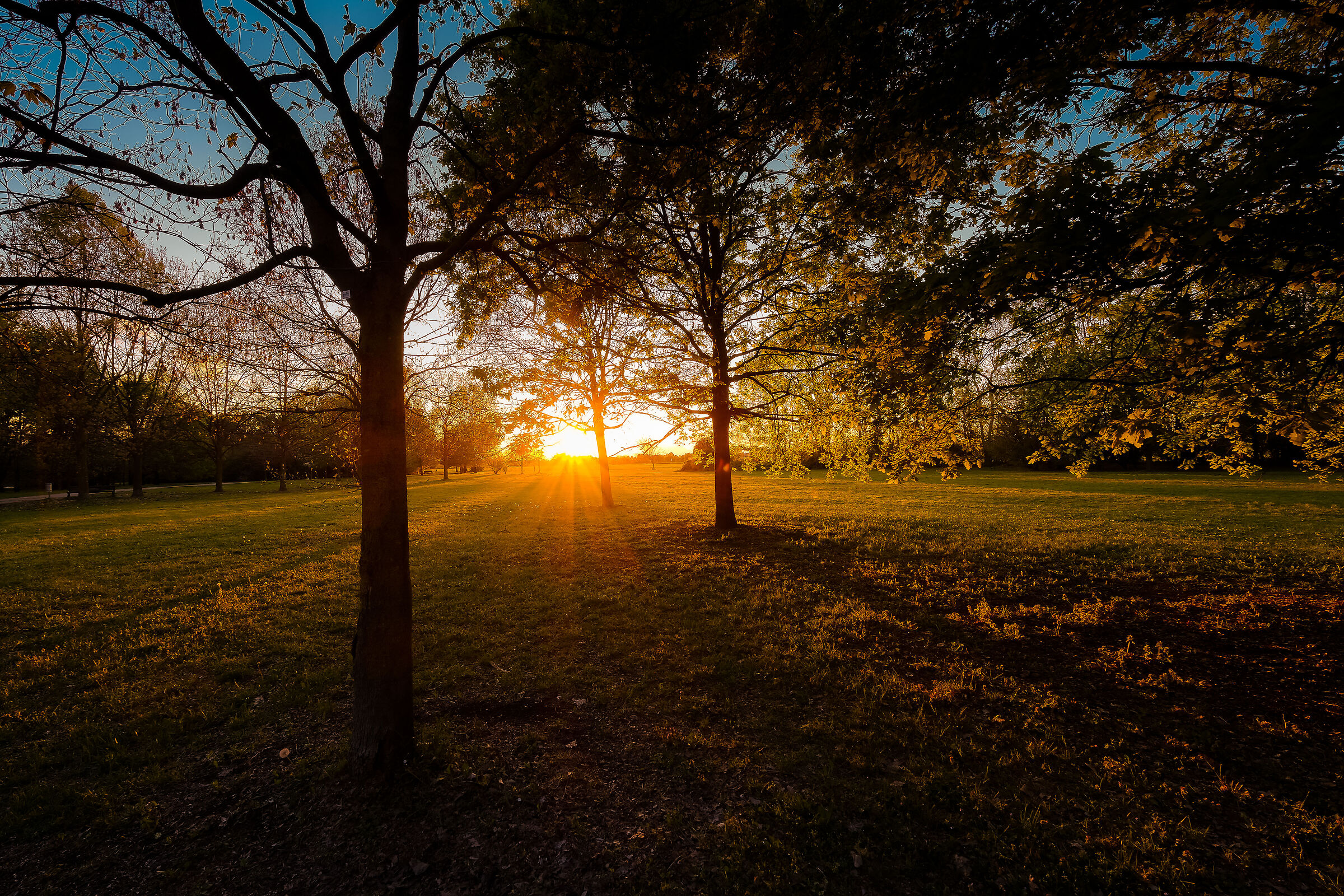 What's left of the day