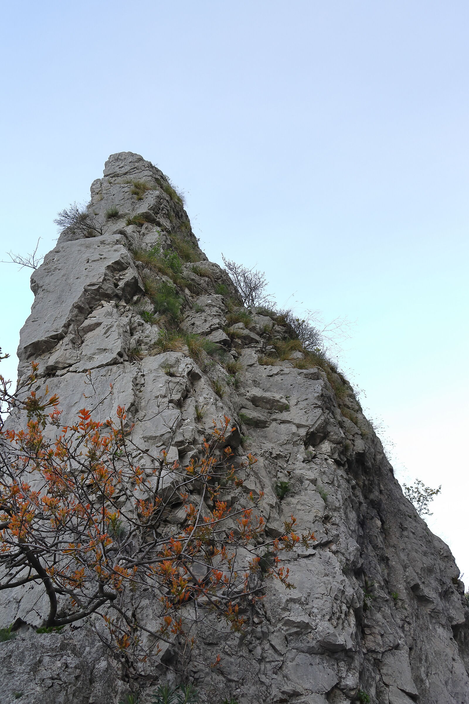 Uno sguardo verso il cielo