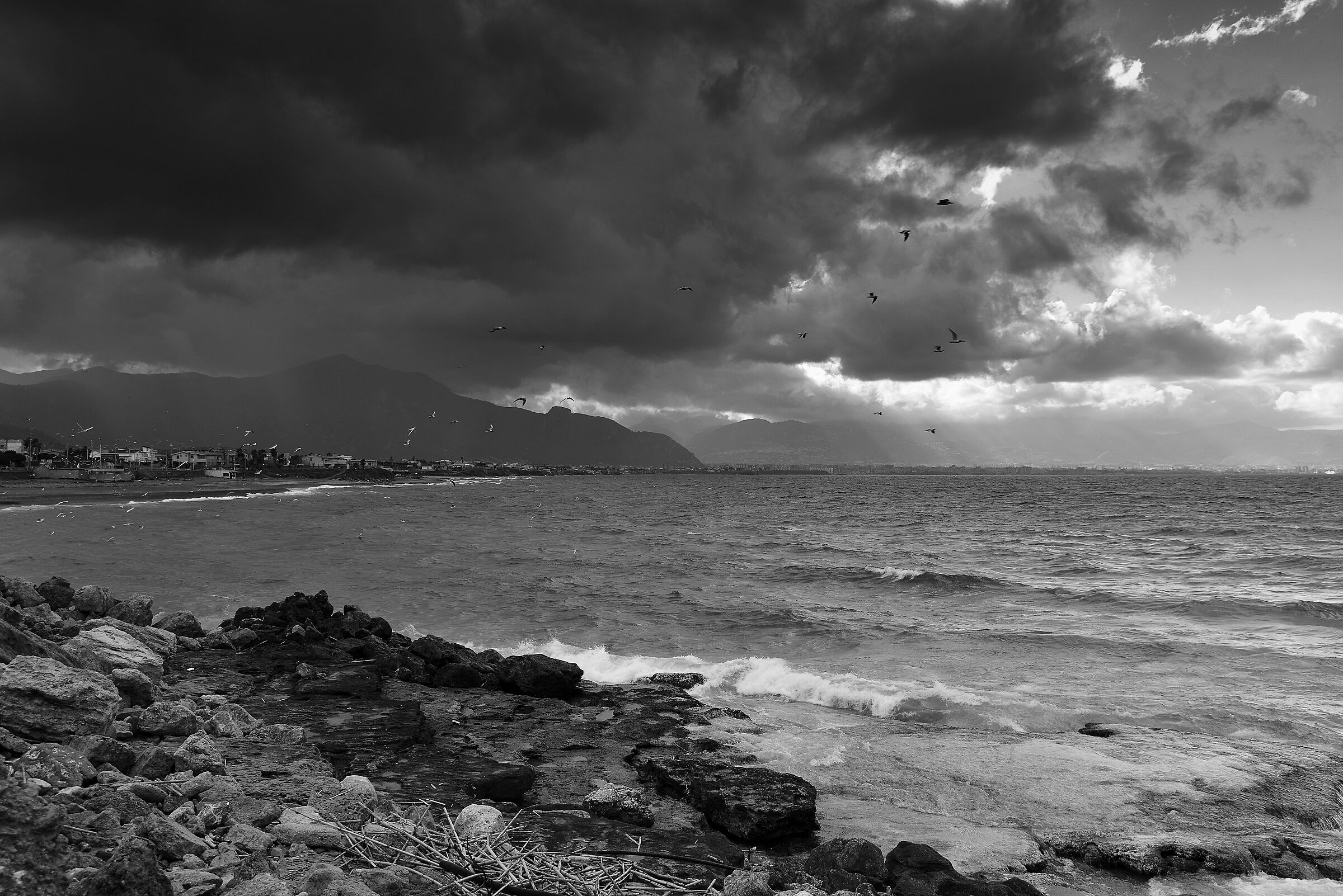 Storm