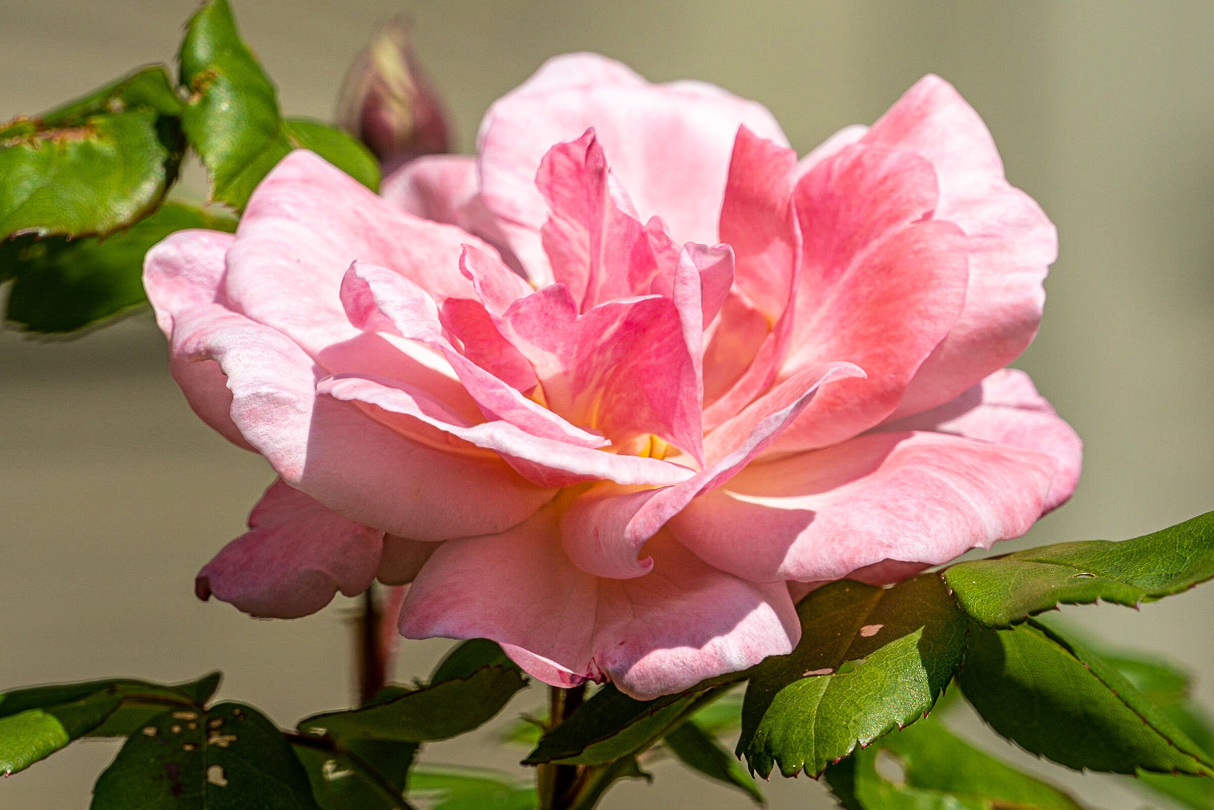 Visita all'Orto Botanico 1