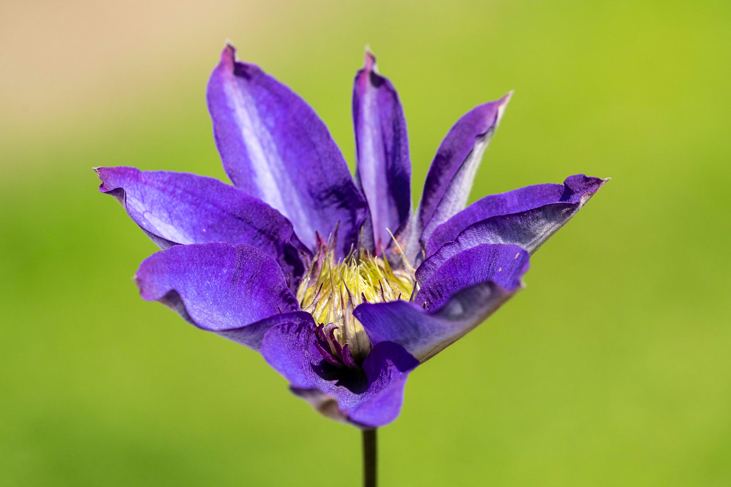 Visita all'Orto Botanico 5