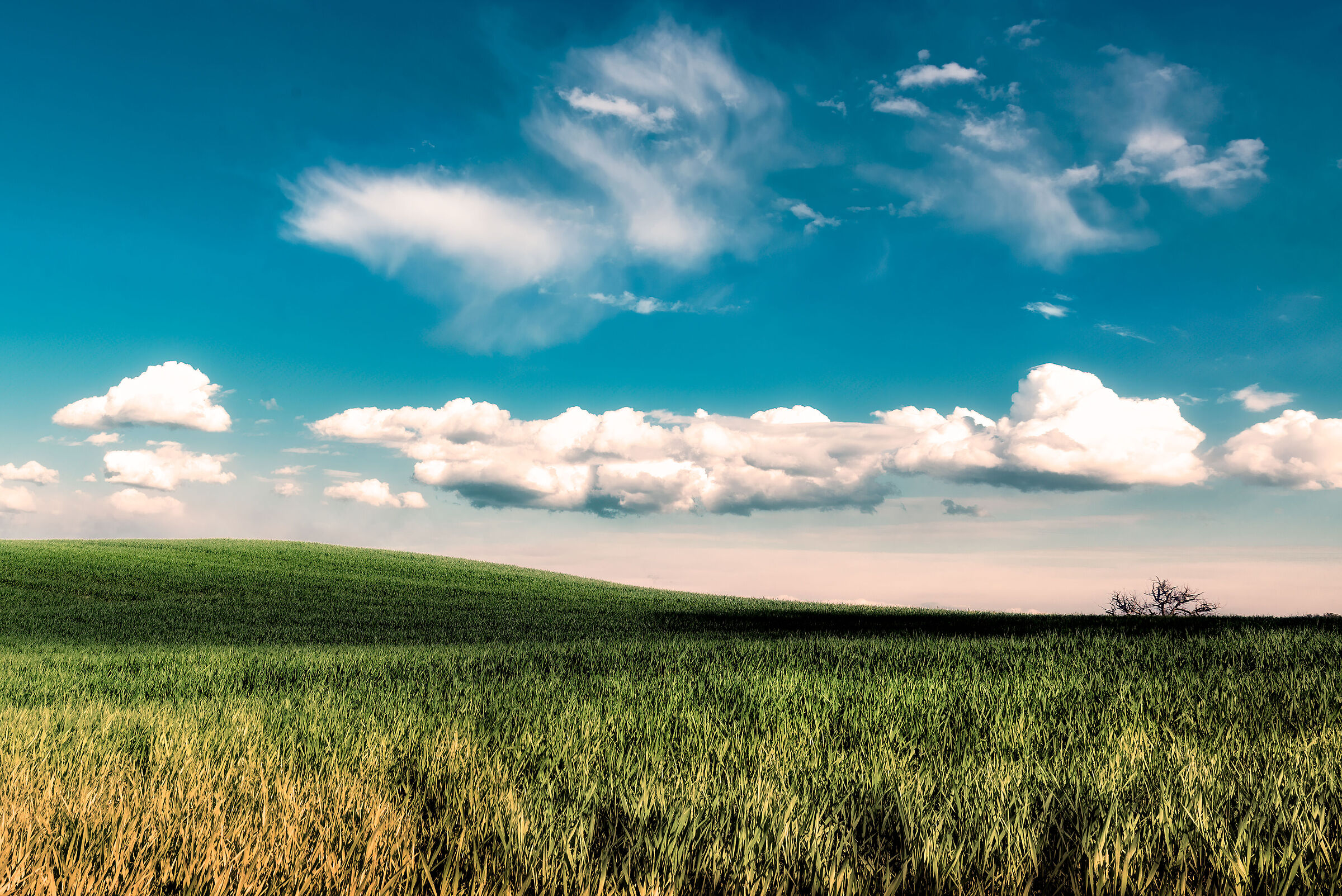 agricoltorua in umbria