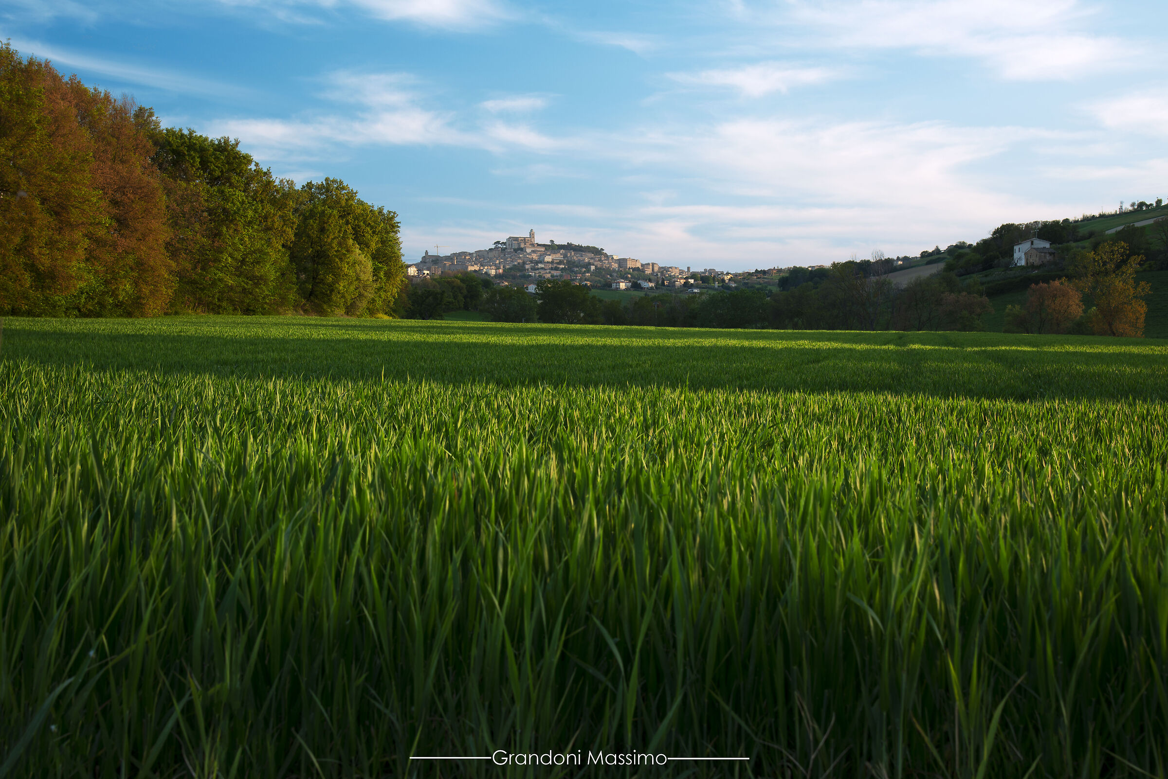 The colors of spring