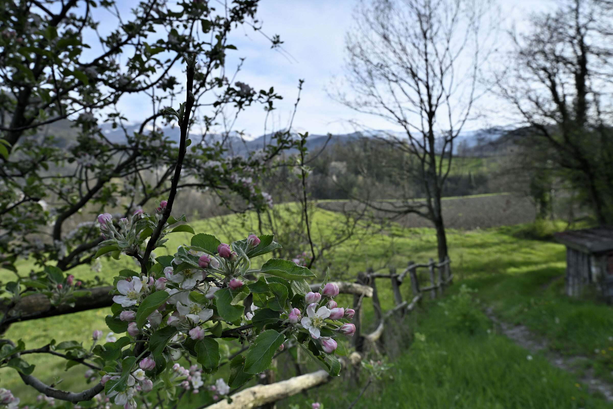 He's going to take some shorts