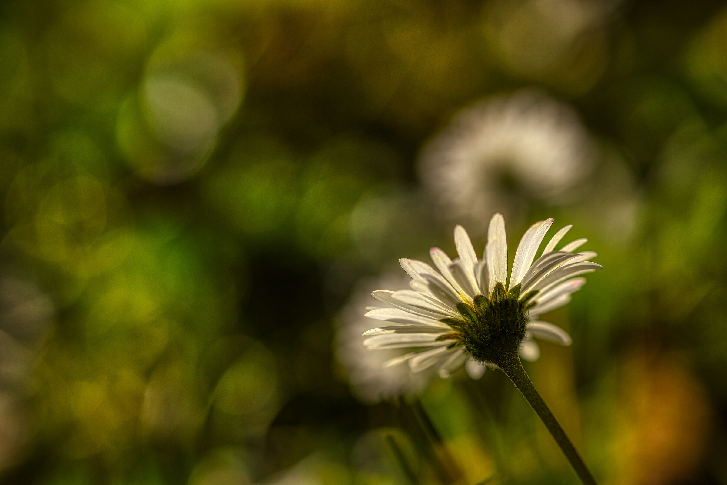 Untitled Photo