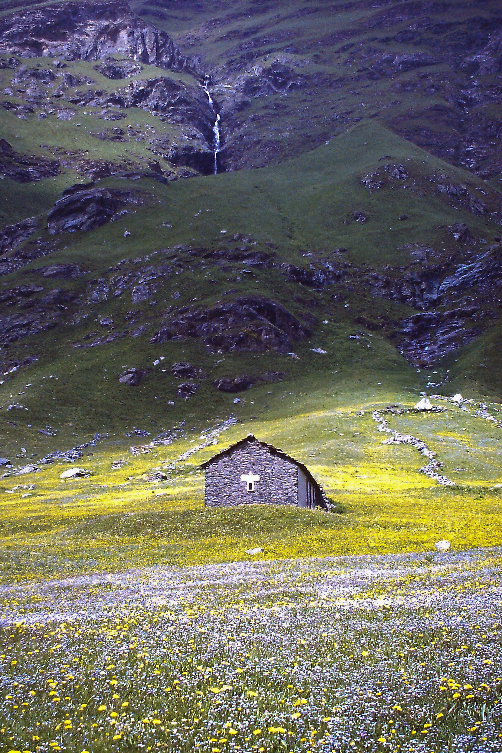 Spring in the mountains