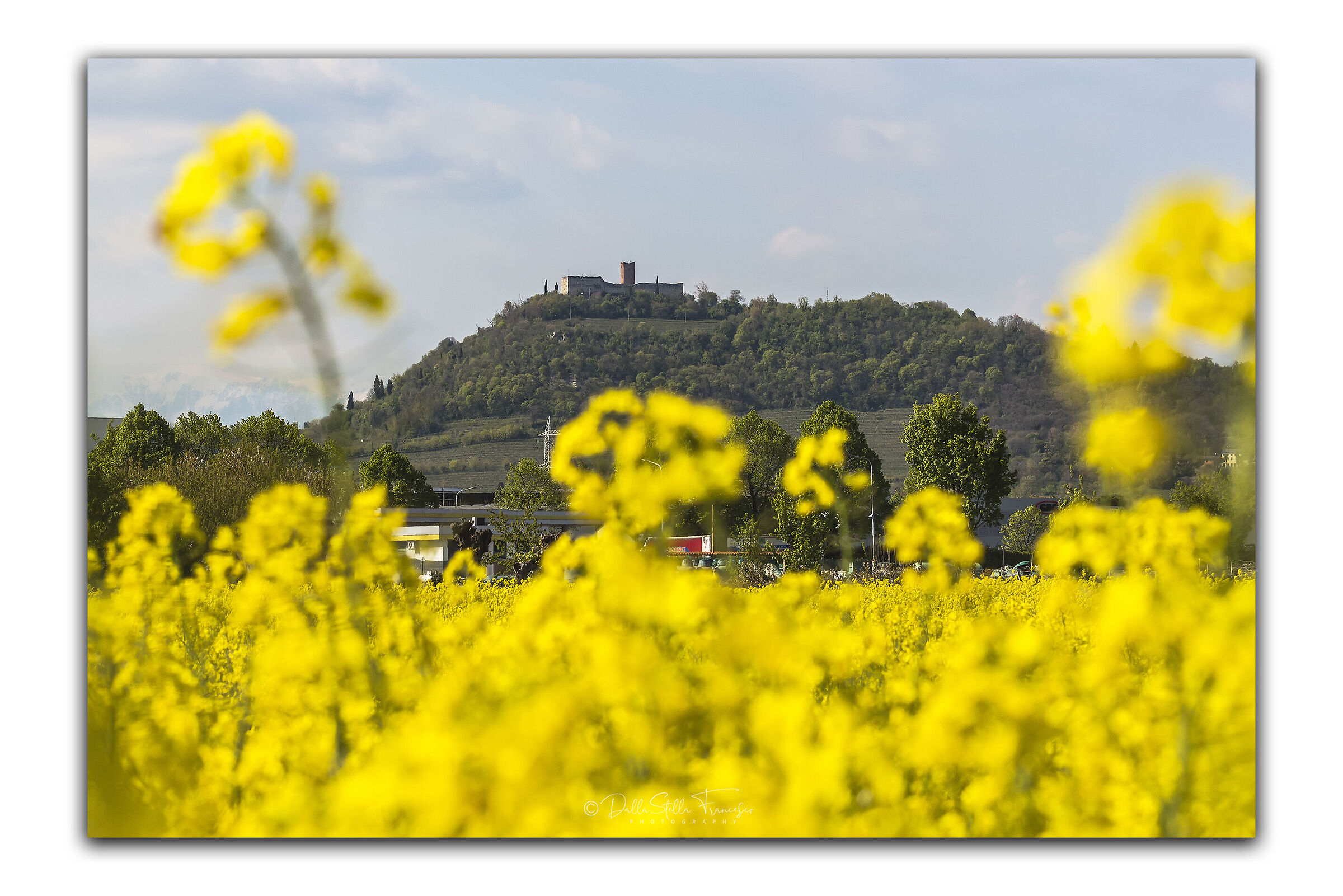 A typical MonteCchia landscape