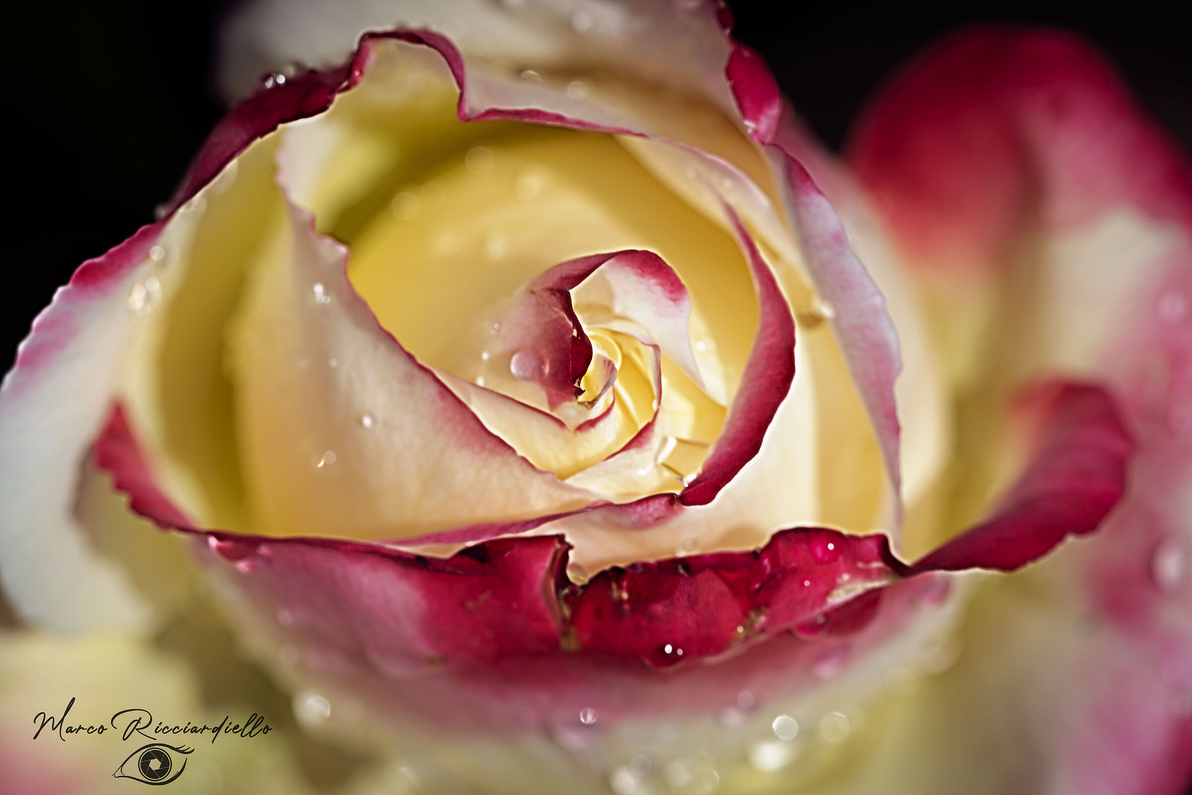 Untitled Photo