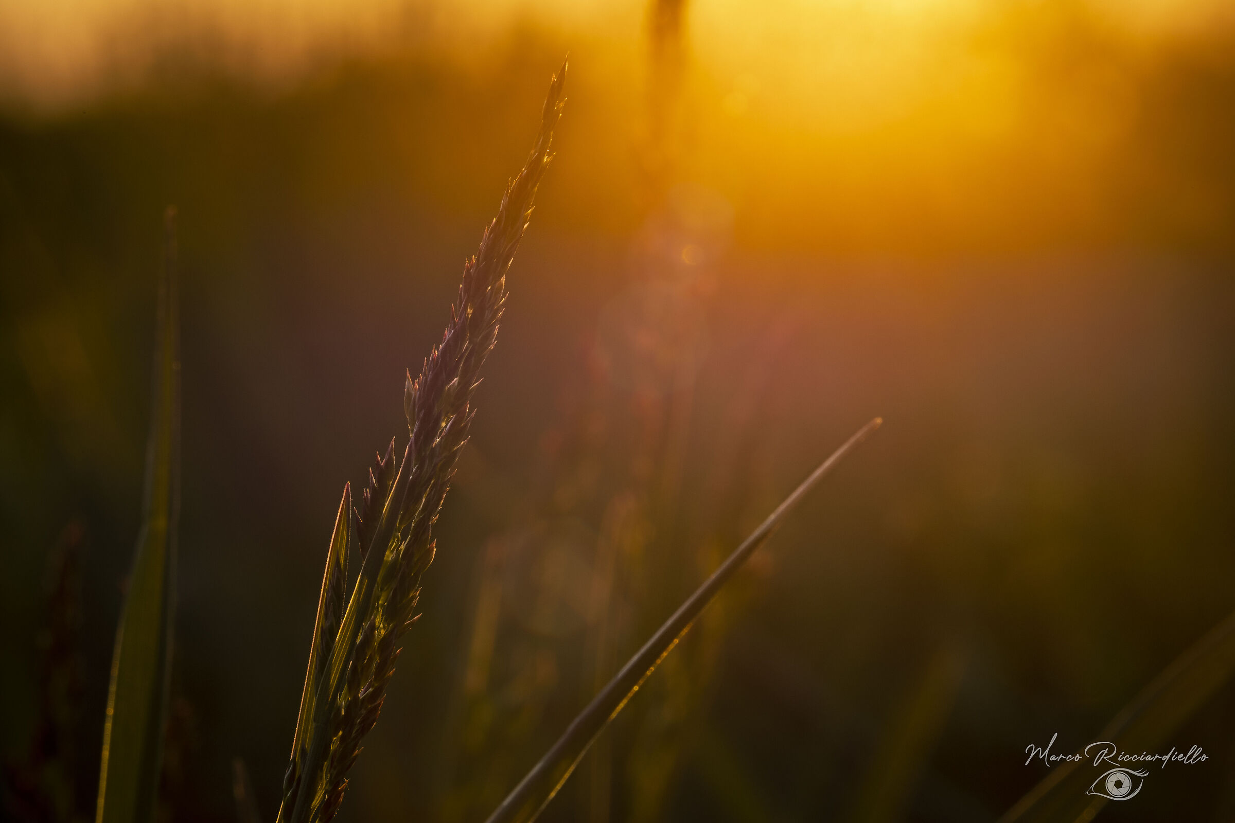 Untitled Photo