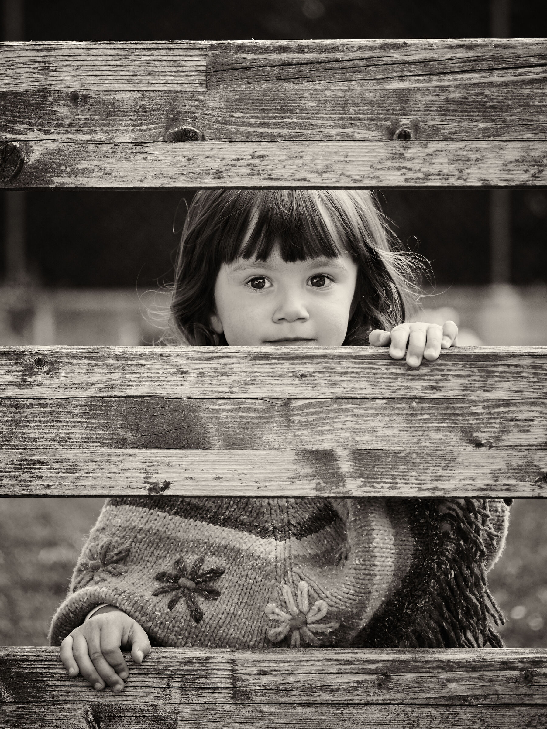 The Little Girl from the Ranch