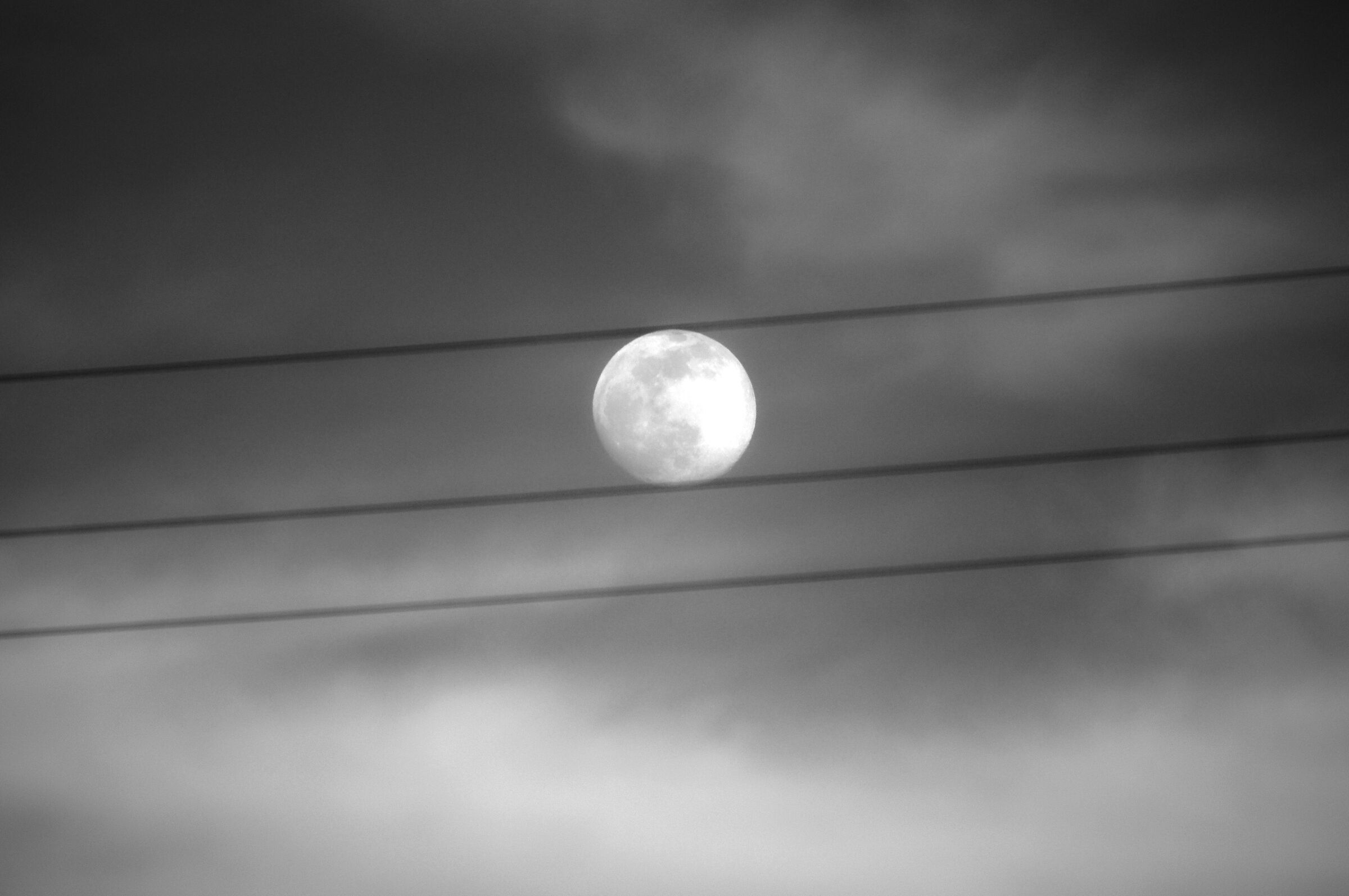 between the lines