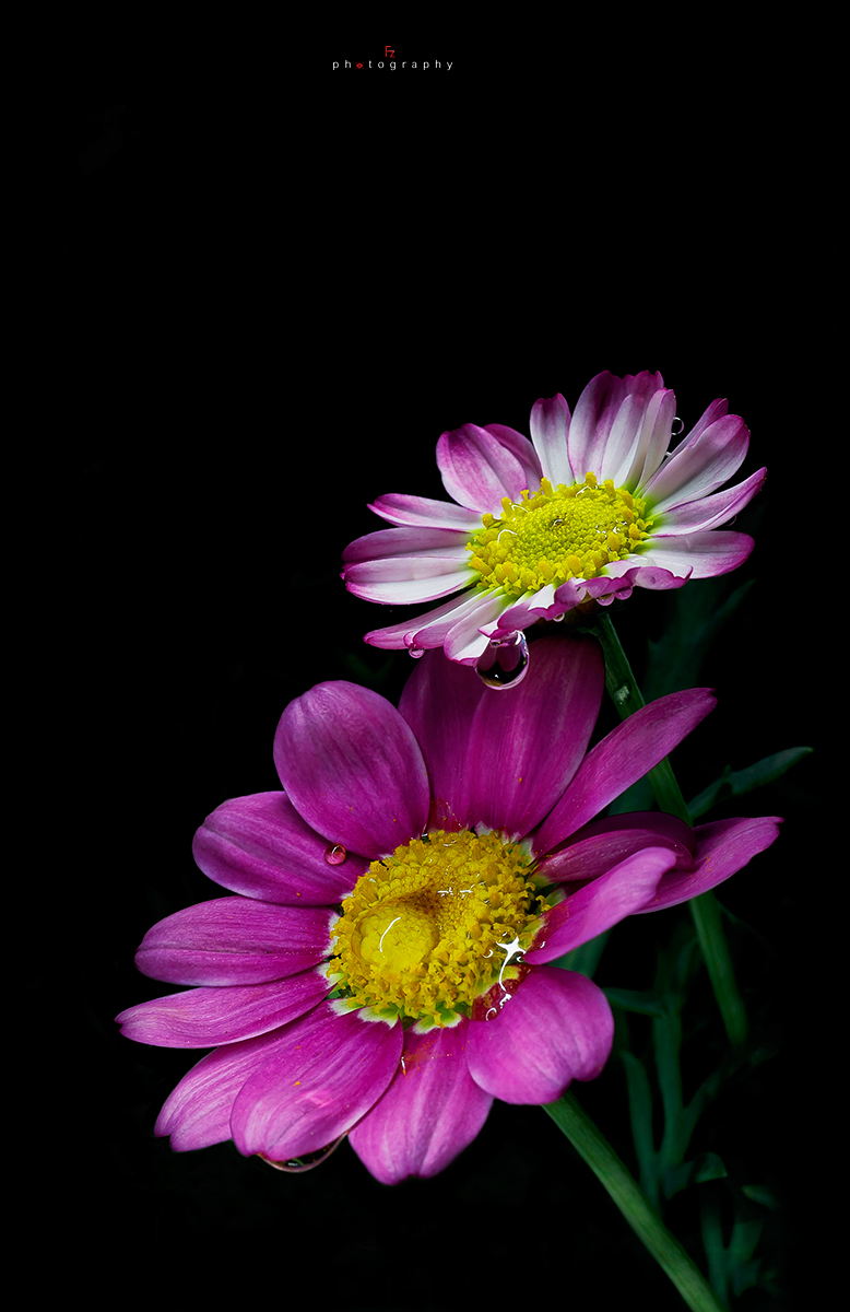 Come lacrime sospese