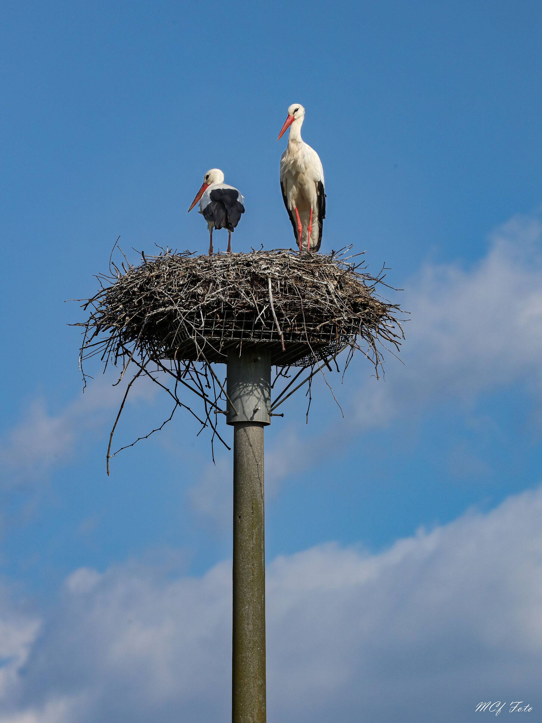 la cova delle Cicogne (Gavasseto - RE)