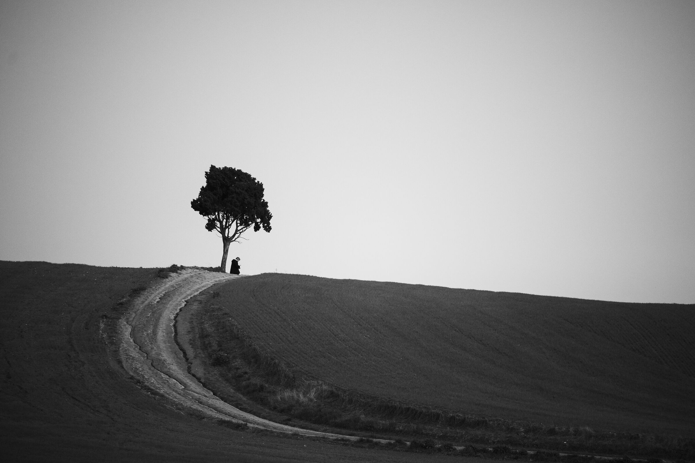 Untitled Photo