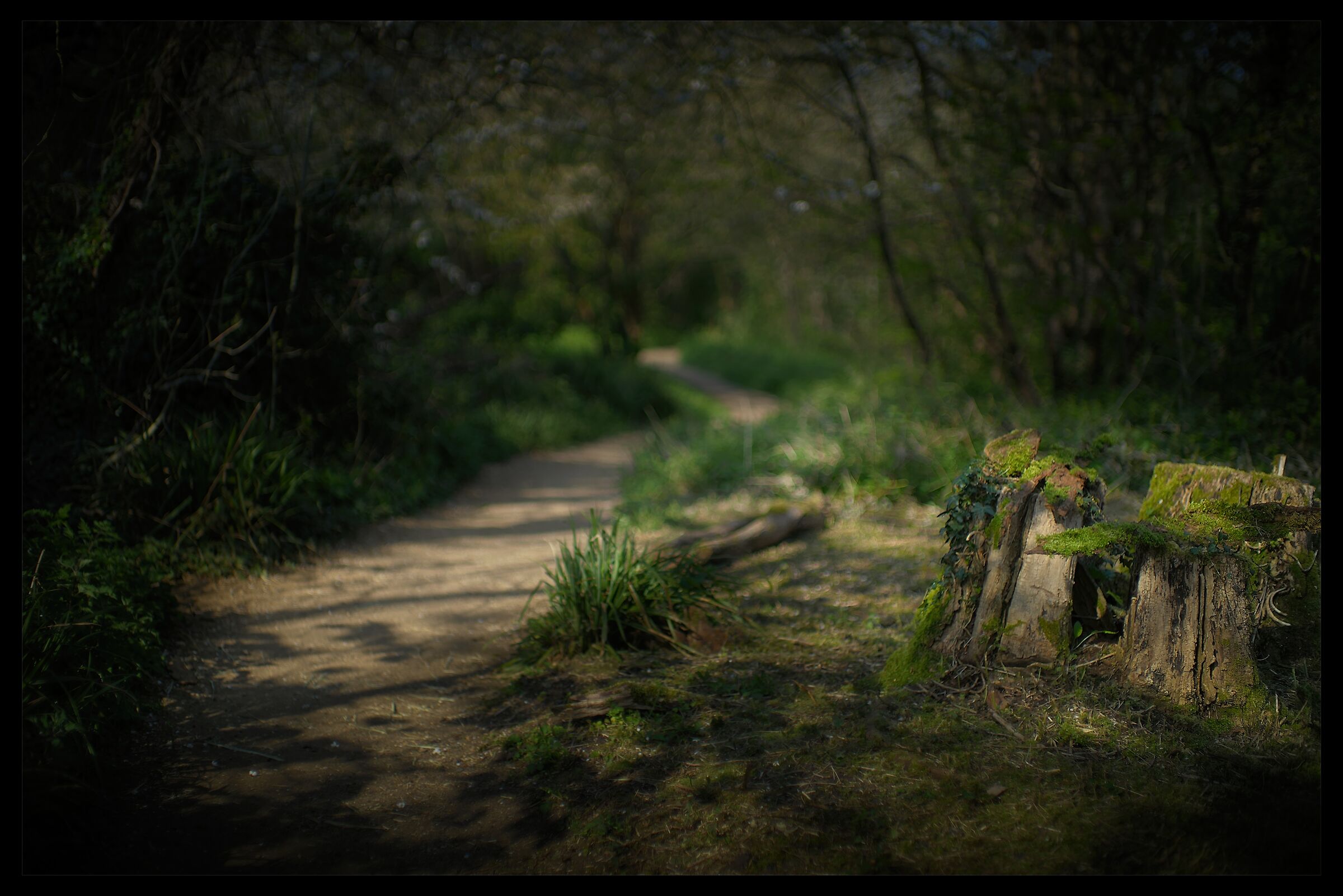 Il percorso di avvolgimento