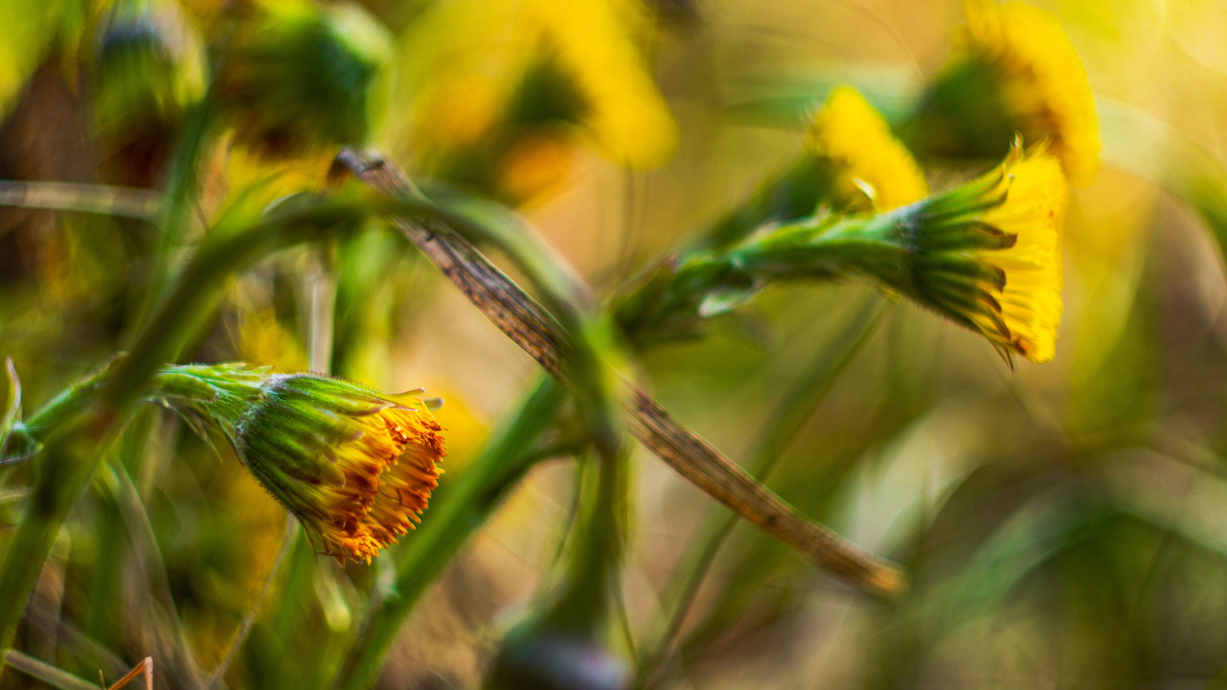 By the river Brzuśnia